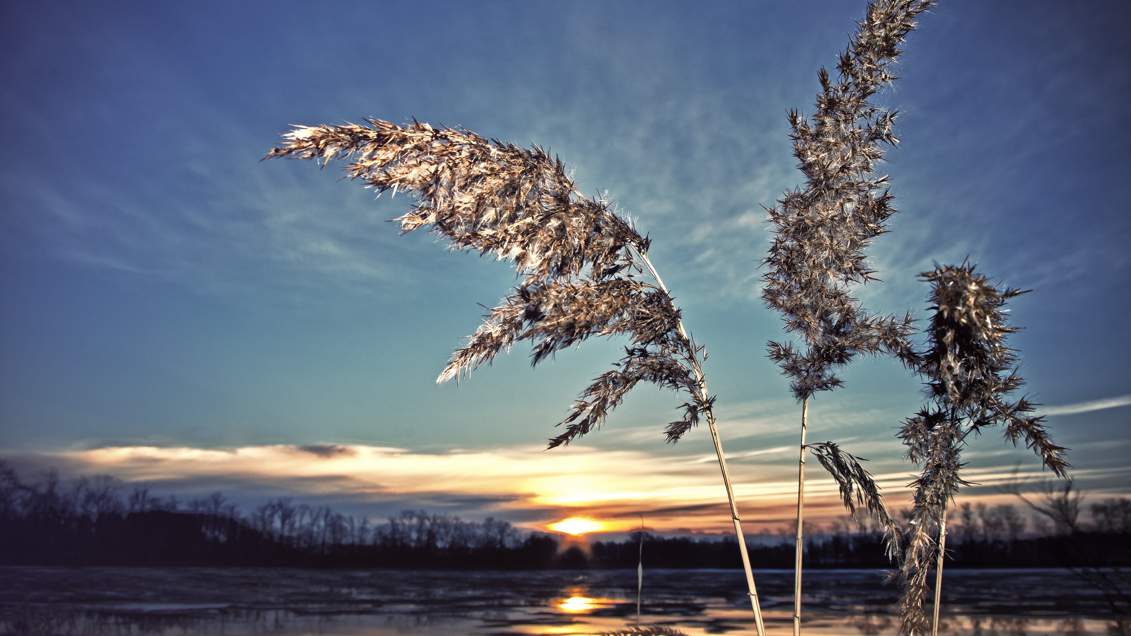 Descarga gratuita de fondo de pantalla para móvil de Invierno, Tierra/naturaleza.