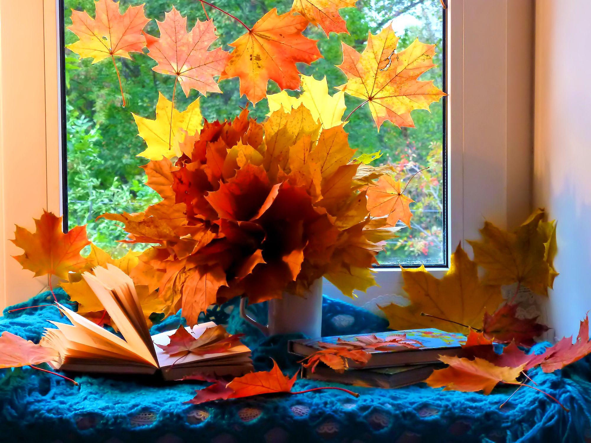 Скачать картинку Осень, Натюрморт, Листва, Книга, Фотографии в телефон бесплатно.