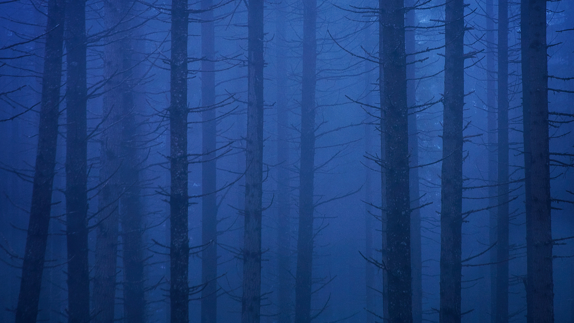 Download mobile wallpaper Fog, Earth for free.