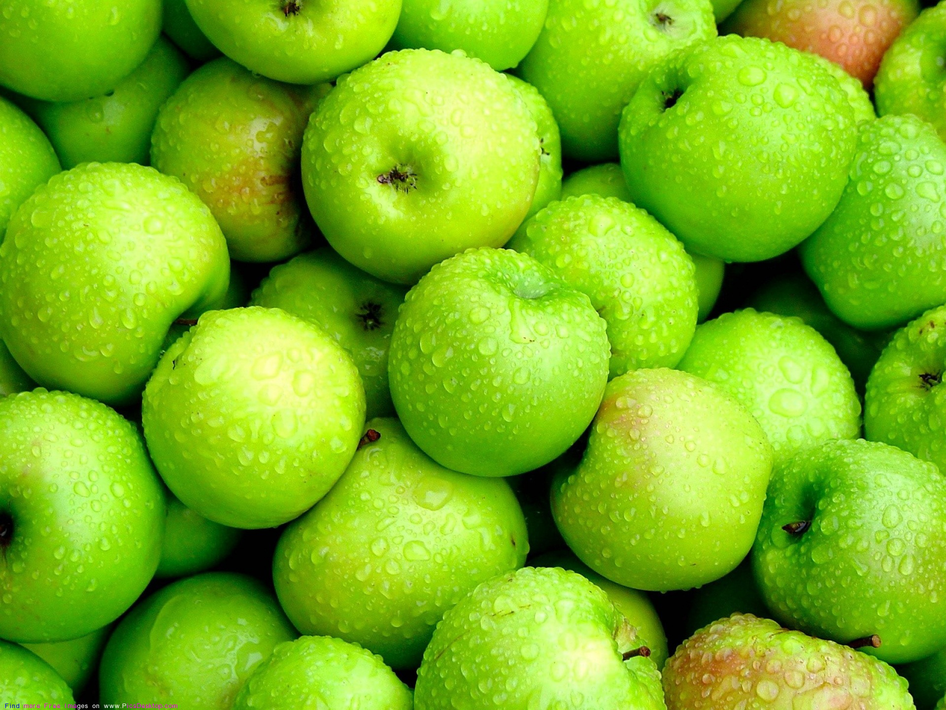 Descarga gratis la imagen Frutas, Manzana, Alimento en el escritorio de tu PC