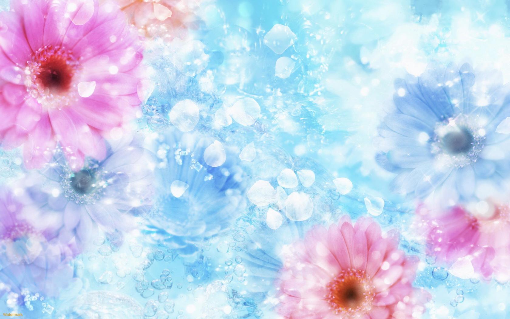 Laden Sie das Pflanzen, Blumen, Hintergrund-Bild kostenlos auf Ihren PC-Desktop herunter
