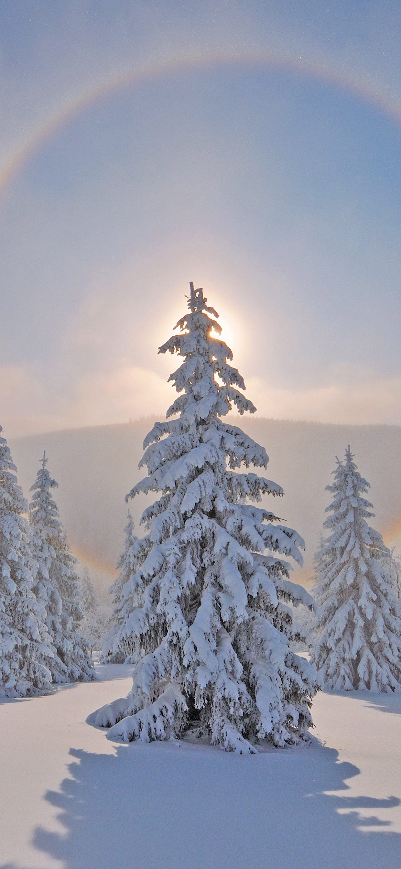 Handy-Wallpaper Winter, Erde/natur kostenlos herunterladen.