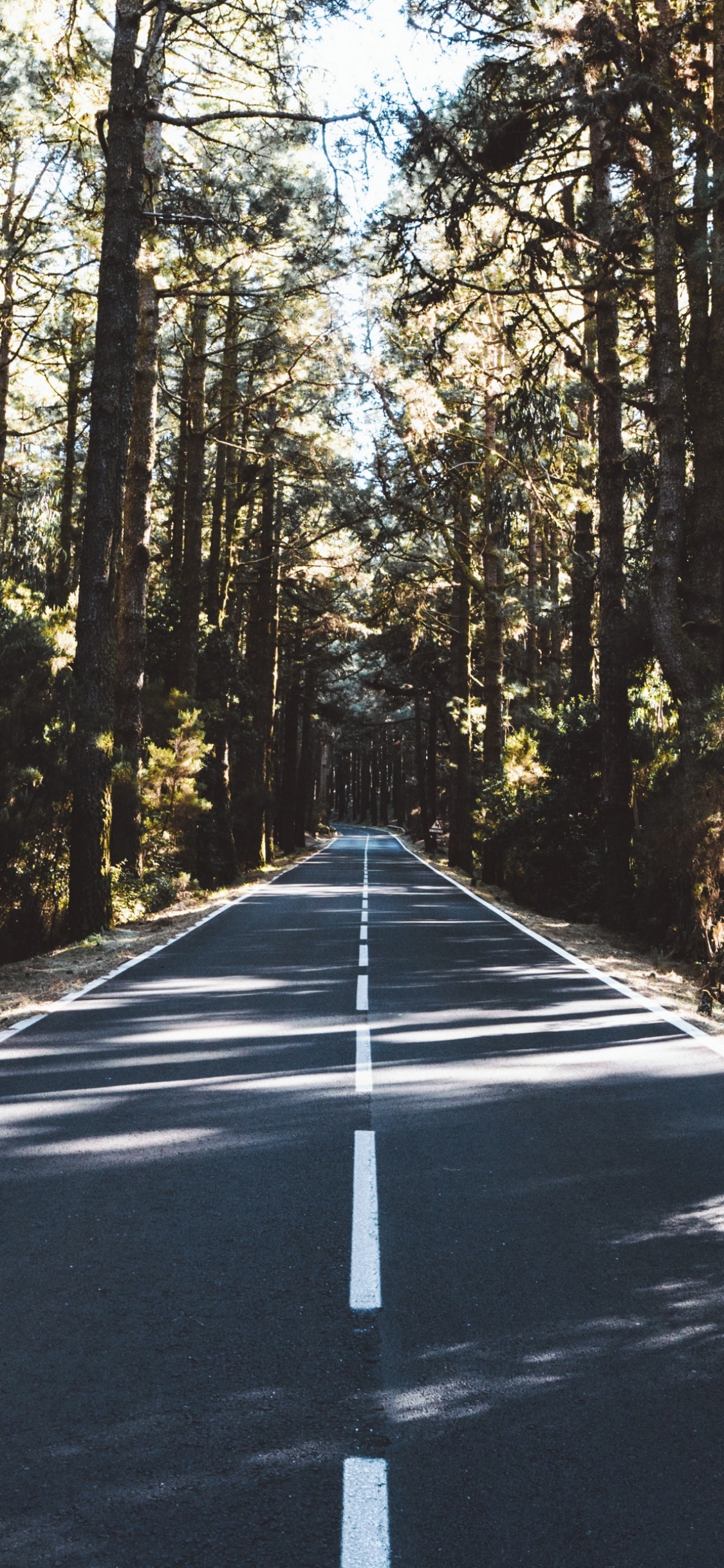 Baixar papel de parede para celular de Natureza, Estrada, Feito Pelo Homem gratuito.