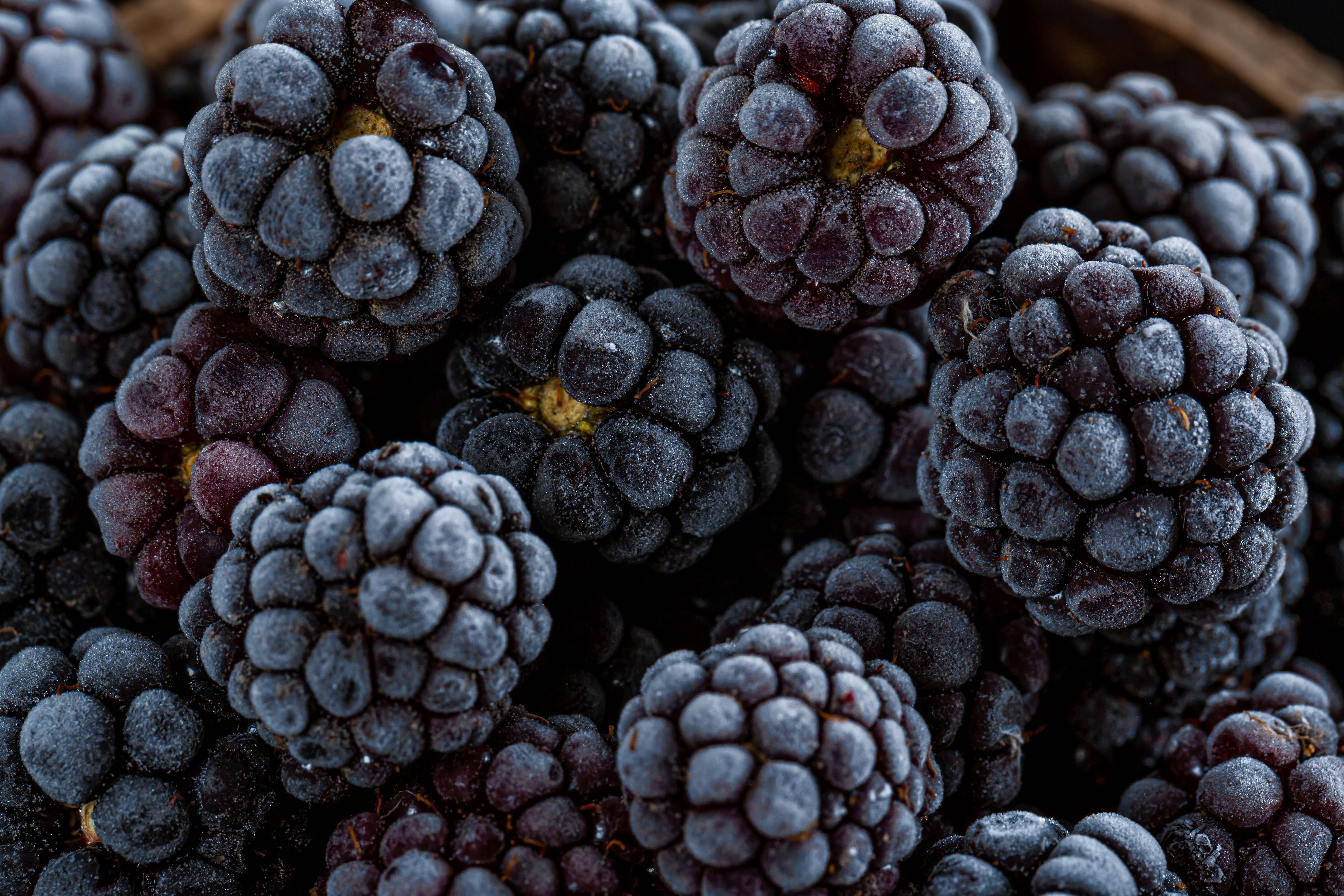 Laden Sie das Lebensmittel, Blackberry, Makro, Beere, Die Frucht, Frucht-Bild kostenlos auf Ihren PC-Desktop herunter