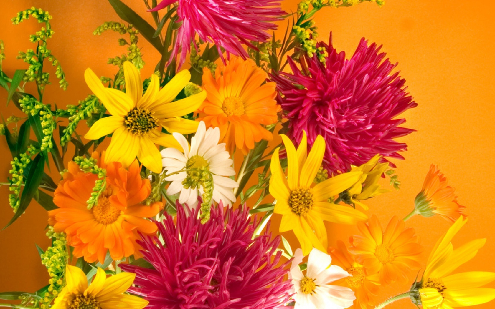 Handy-Wallpaper Blumen, Blume, Farben, Bunt, Gelbe Blume, Weiße Blume, Erde/natur, Pinke Blume kostenlos herunterladen.