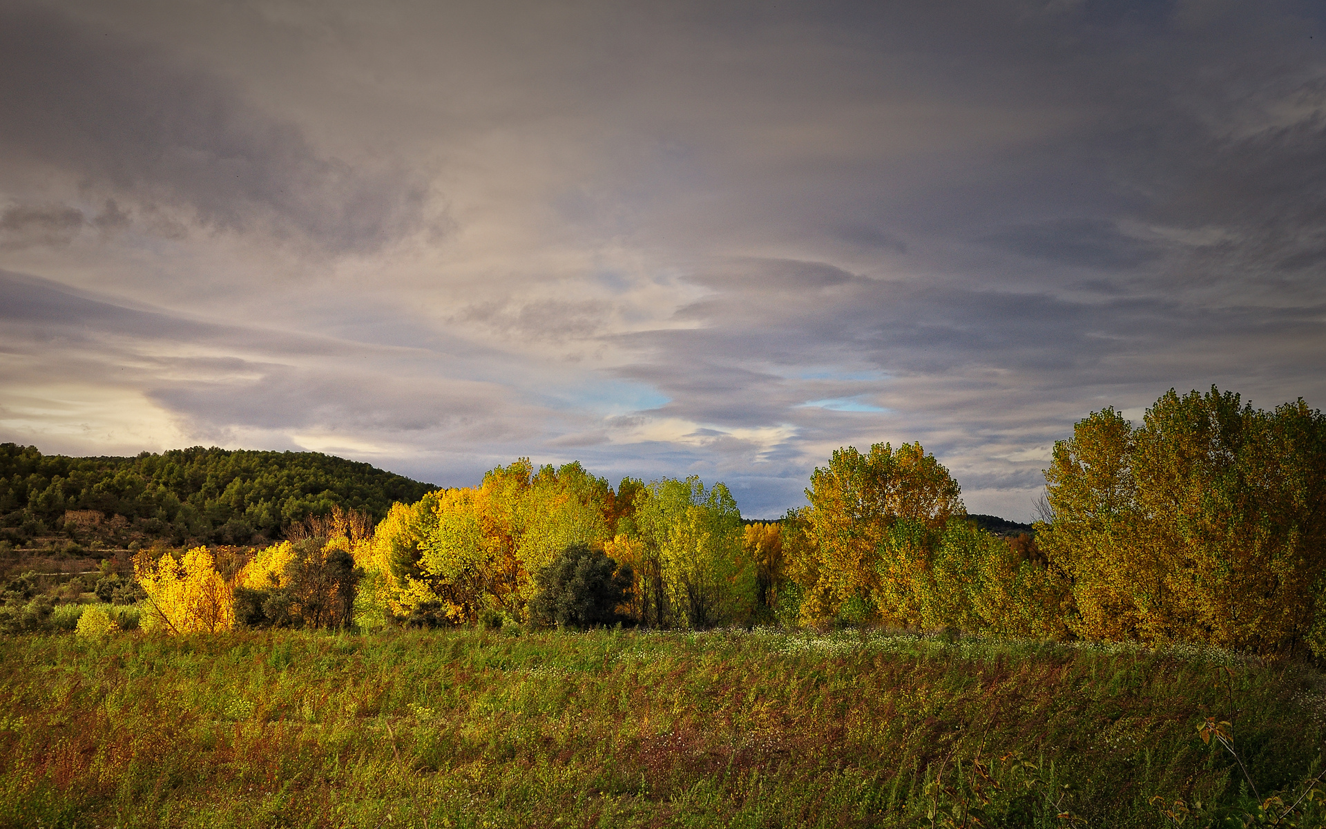 Laden Sie das Landschaft, Erde/natur-Bild kostenlos auf Ihren PC-Desktop herunter