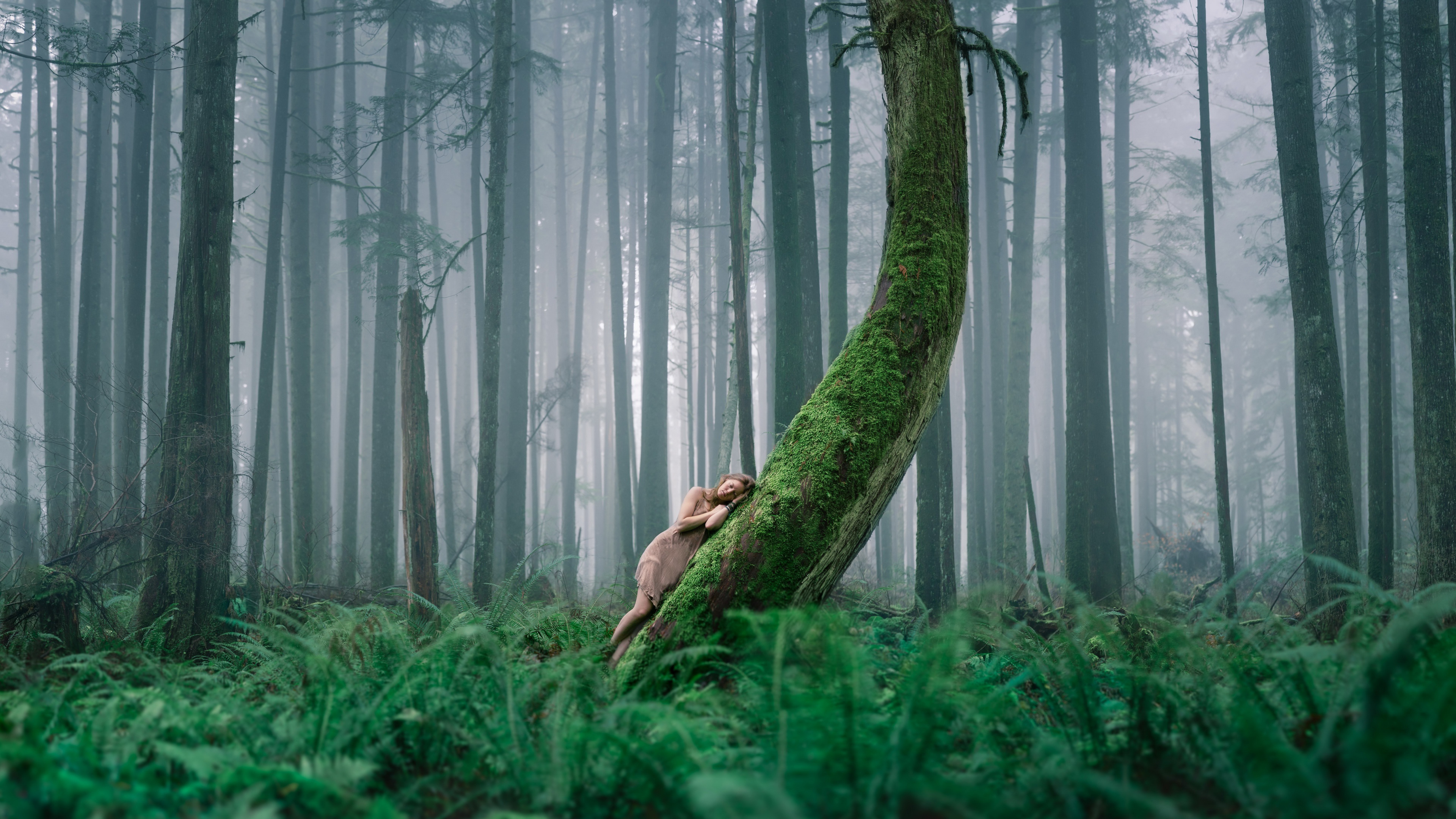 Baixe gratuitamente a imagem Natureza, Mulheres, Ânimo na área de trabalho do seu PC