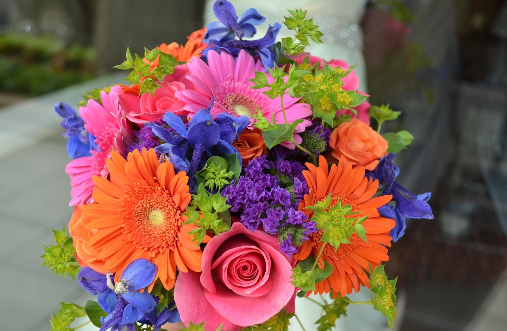 roses, colourful, bouquet, combination, flowers, gerberas, colorful cellphone