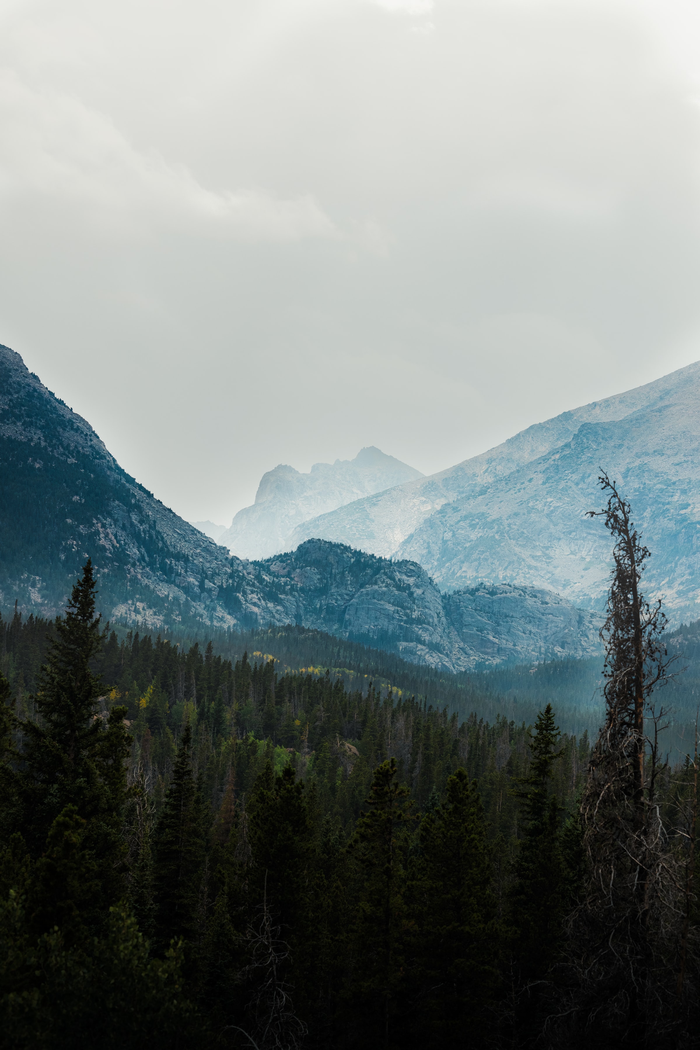 Descarga gratis la imagen Naturaleza, Árboles, Montañas, Bosque, Niebla, Valle en el escritorio de tu PC