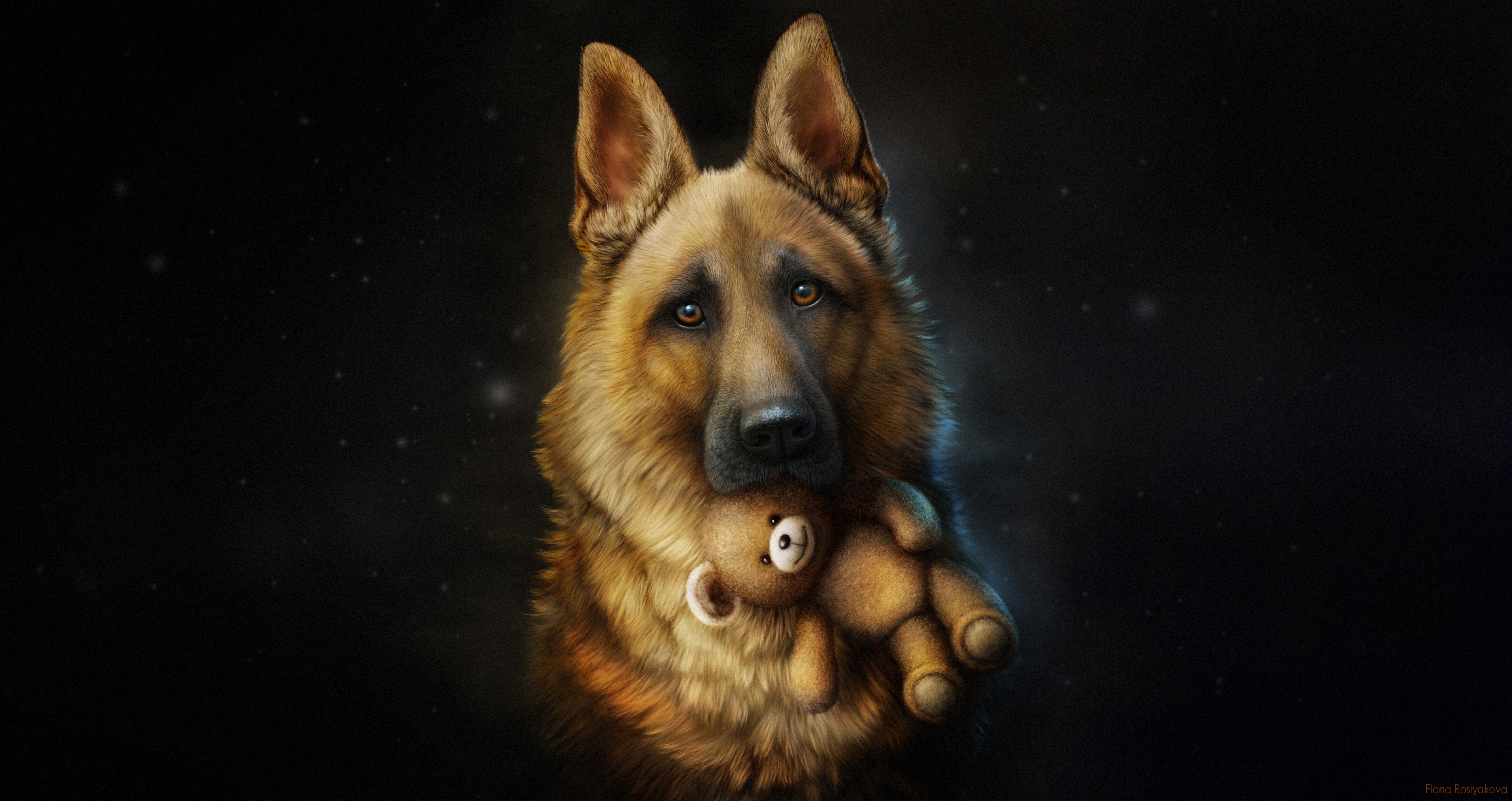 Download mobile wallpaper Dogs, Teddy Bear, Dog, Animal, Face, German Shepherd for free.