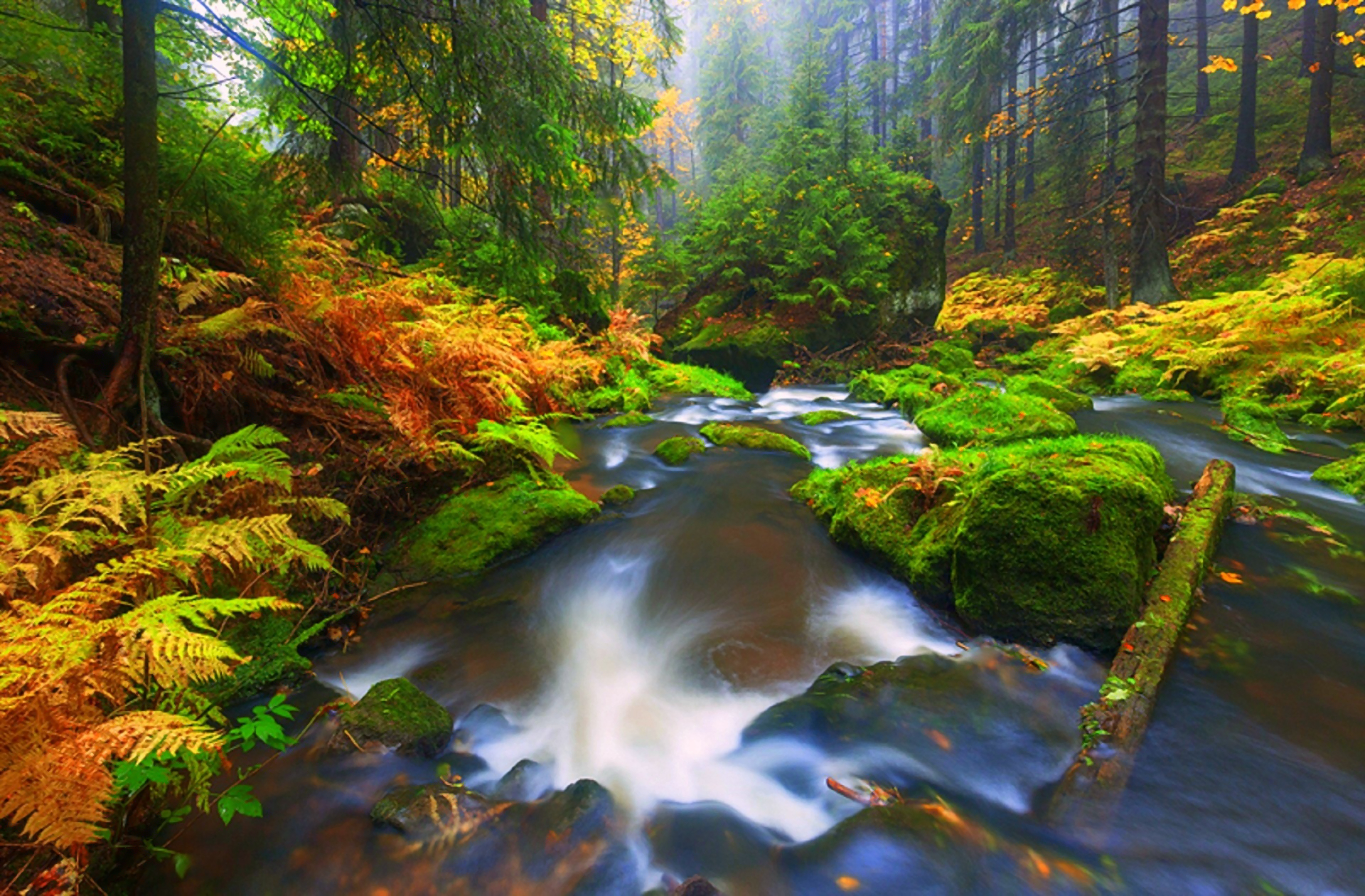 Скачать обои бесплатно Осень, Лес, Дерево, Листва, Ручей, Земля/природа картинка на рабочий стол ПК