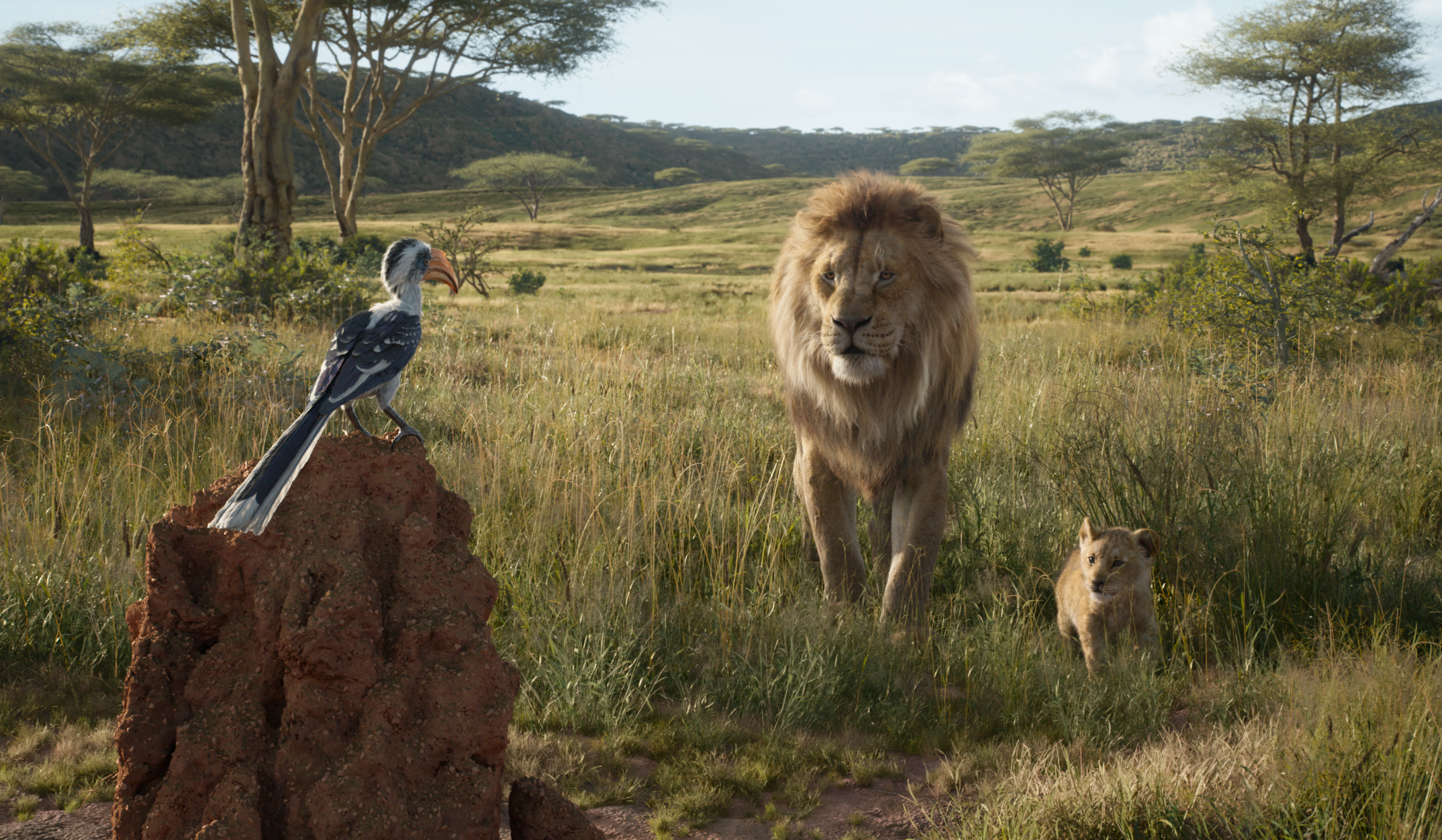 movie, the lion king (2019), mufasa (the lion king), simba, zazu (the lion king)