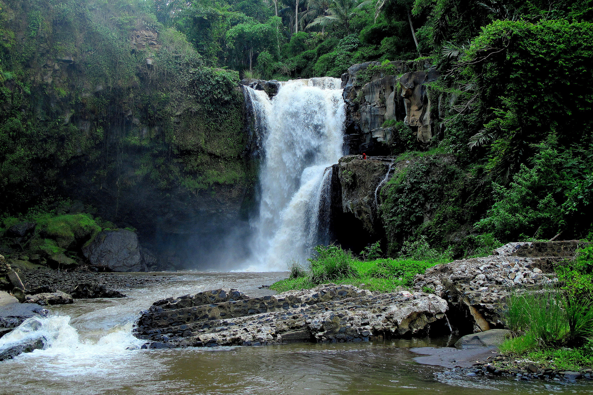 Скачать картинку Водопады, Водопад, Лес, Зеленый, Индонезия, Земля/природа в телефон бесплатно.
