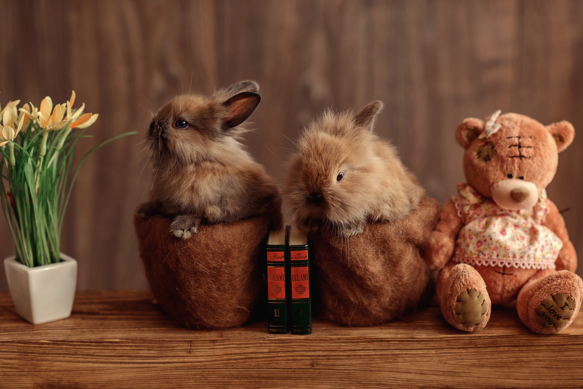 Free download wallpaper Teddy Bear, Animal, Rabbit on your PC desktop