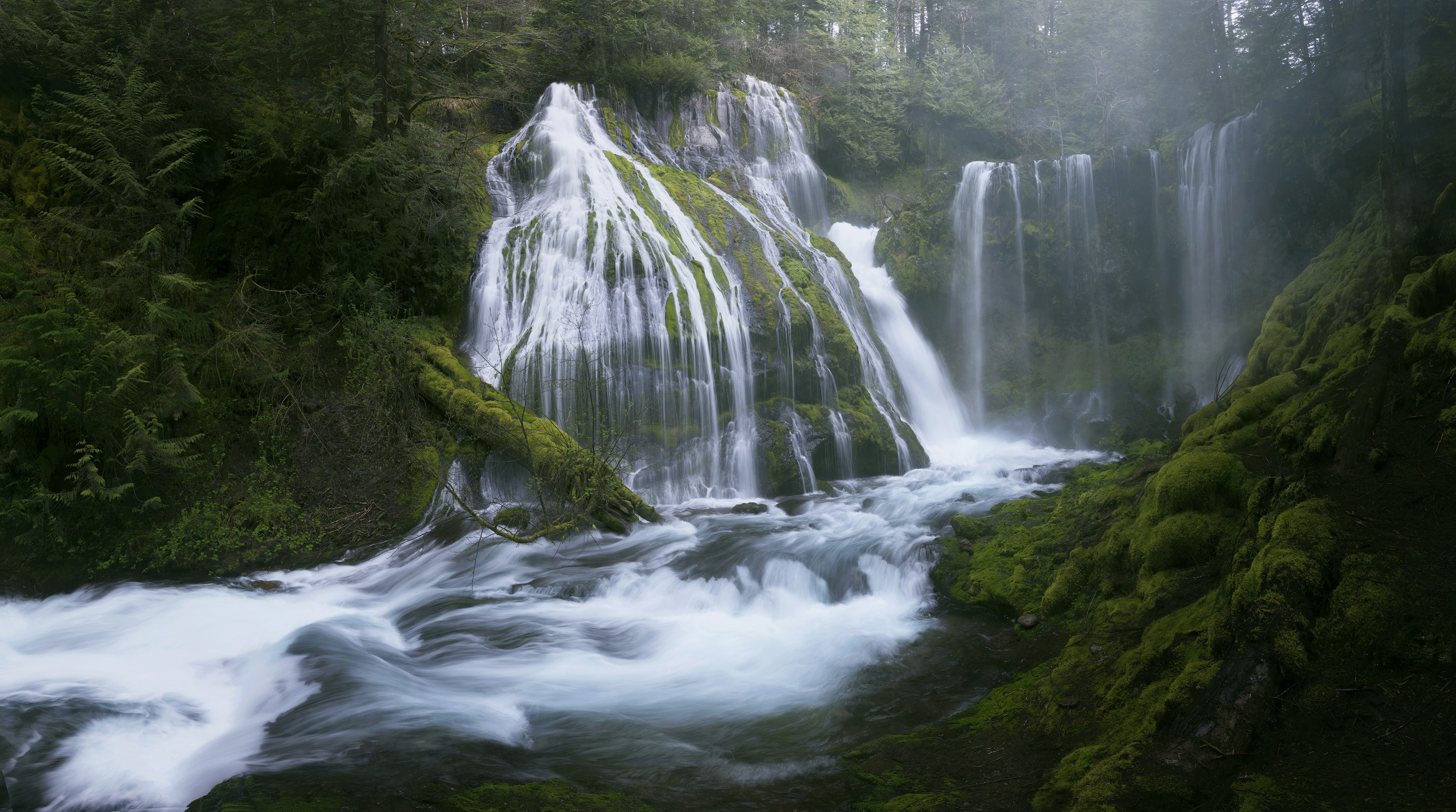 Handy-Wallpaper Wasserfälle, Wasserfall, Wald, Baum, Fluss, Moos, Erde/natur kostenlos herunterladen.