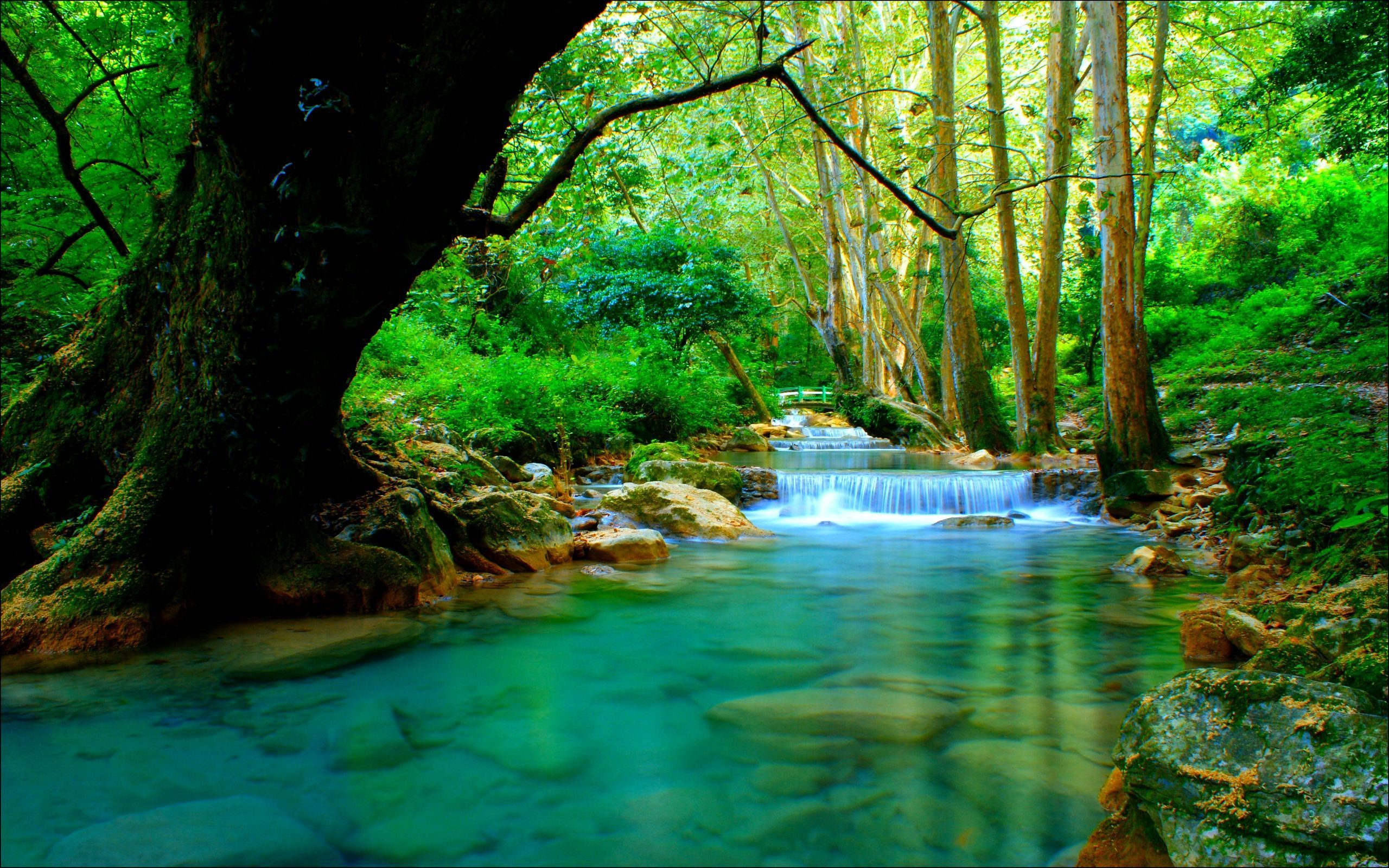 Laden Sie das Wasserfall, Wald, Baum, Fluss, Erde/natur-Bild kostenlos auf Ihren PC-Desktop herunter