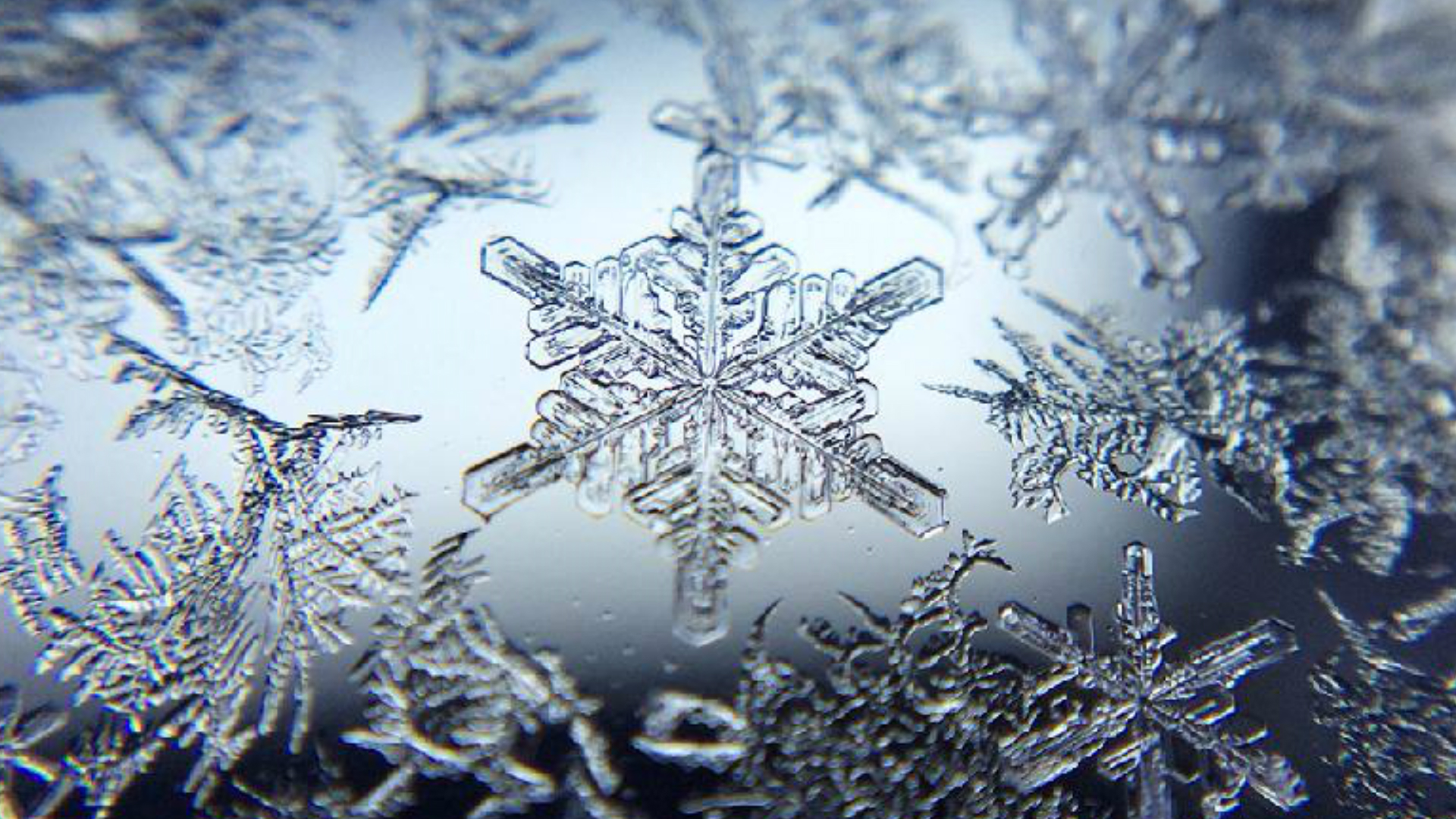 Download mobile wallpaper Earth, Snowflake for free.