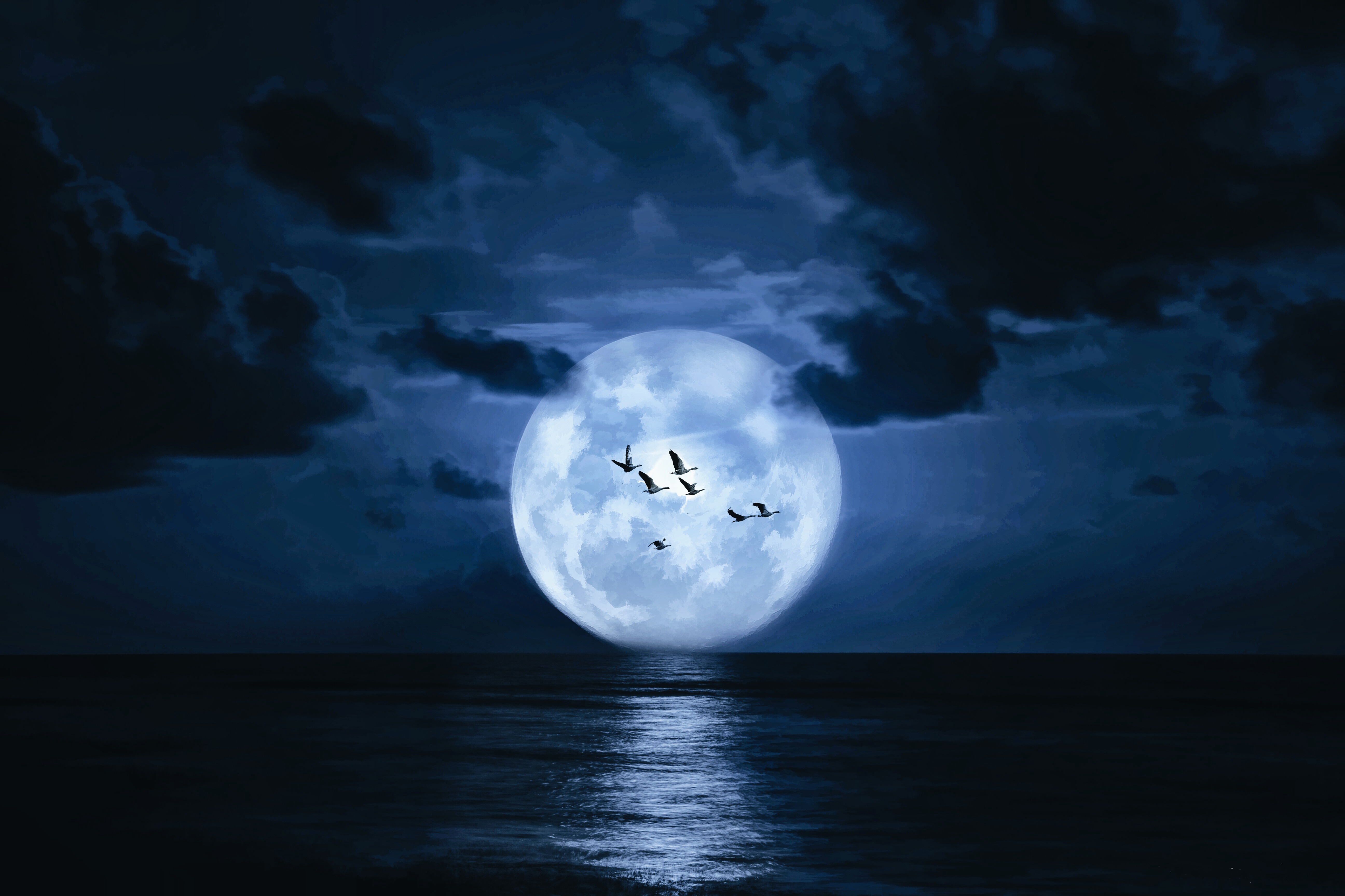 Free download wallpaper Fantasy, Moon, Bird on your PC desktop