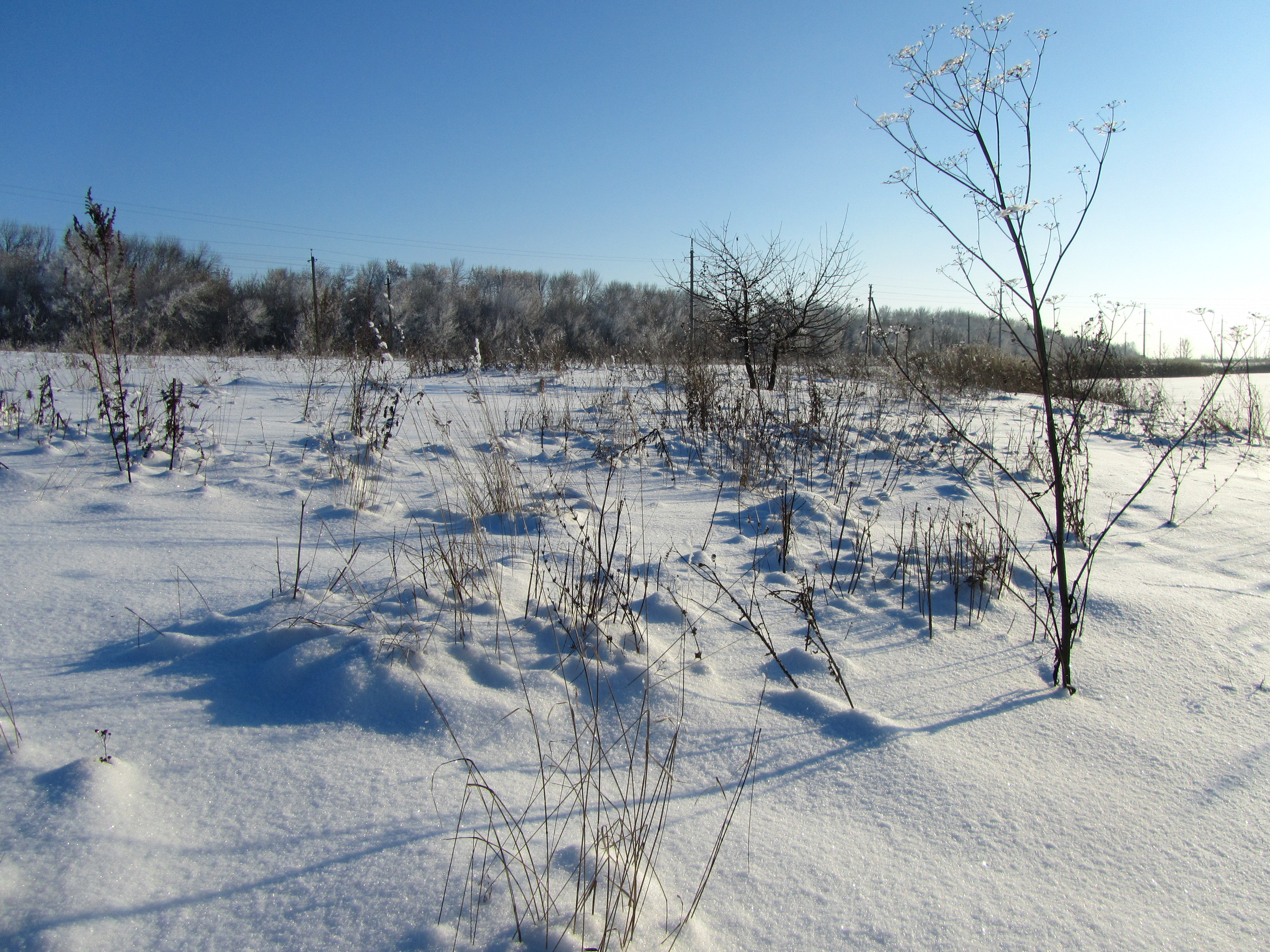 Baixe gratuitamente a imagem Inverno, Terra/natureza na área de trabalho do seu PC