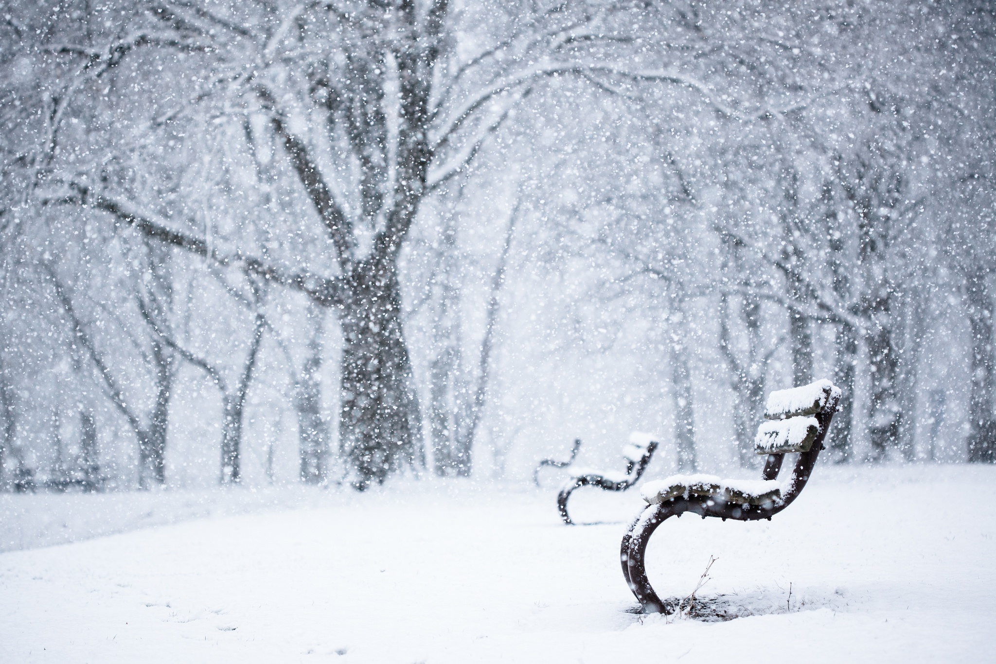 Laden Sie das Winter, Schnee, Bank, Park, Fotografie, Schneefall, Tiefenschärfe-Bild kostenlos auf Ihren PC-Desktop herunter