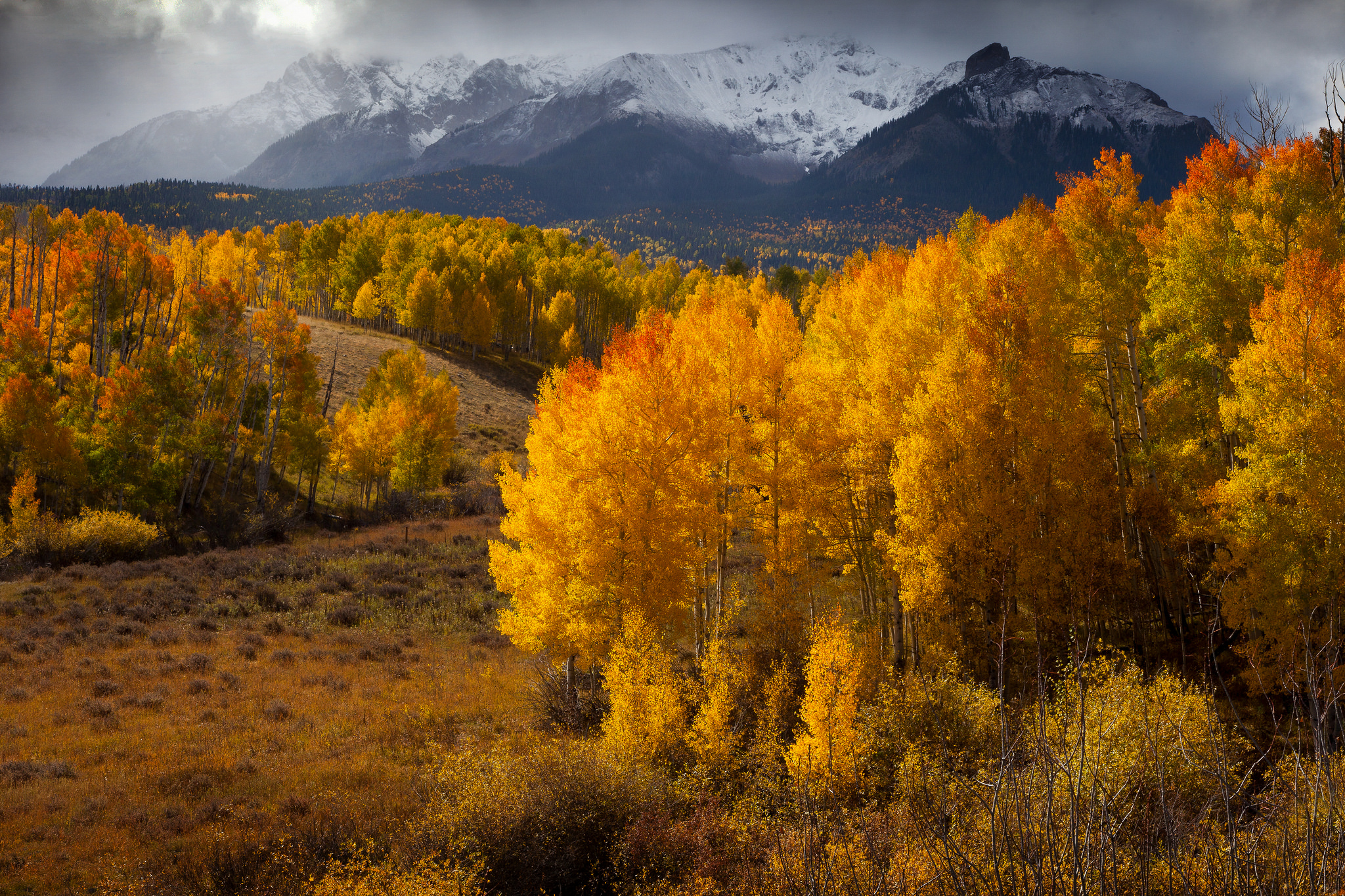 Скачать картинку Пейзаж, Осень, Гора, Дерево, Земля/природа в телефон бесплатно.
