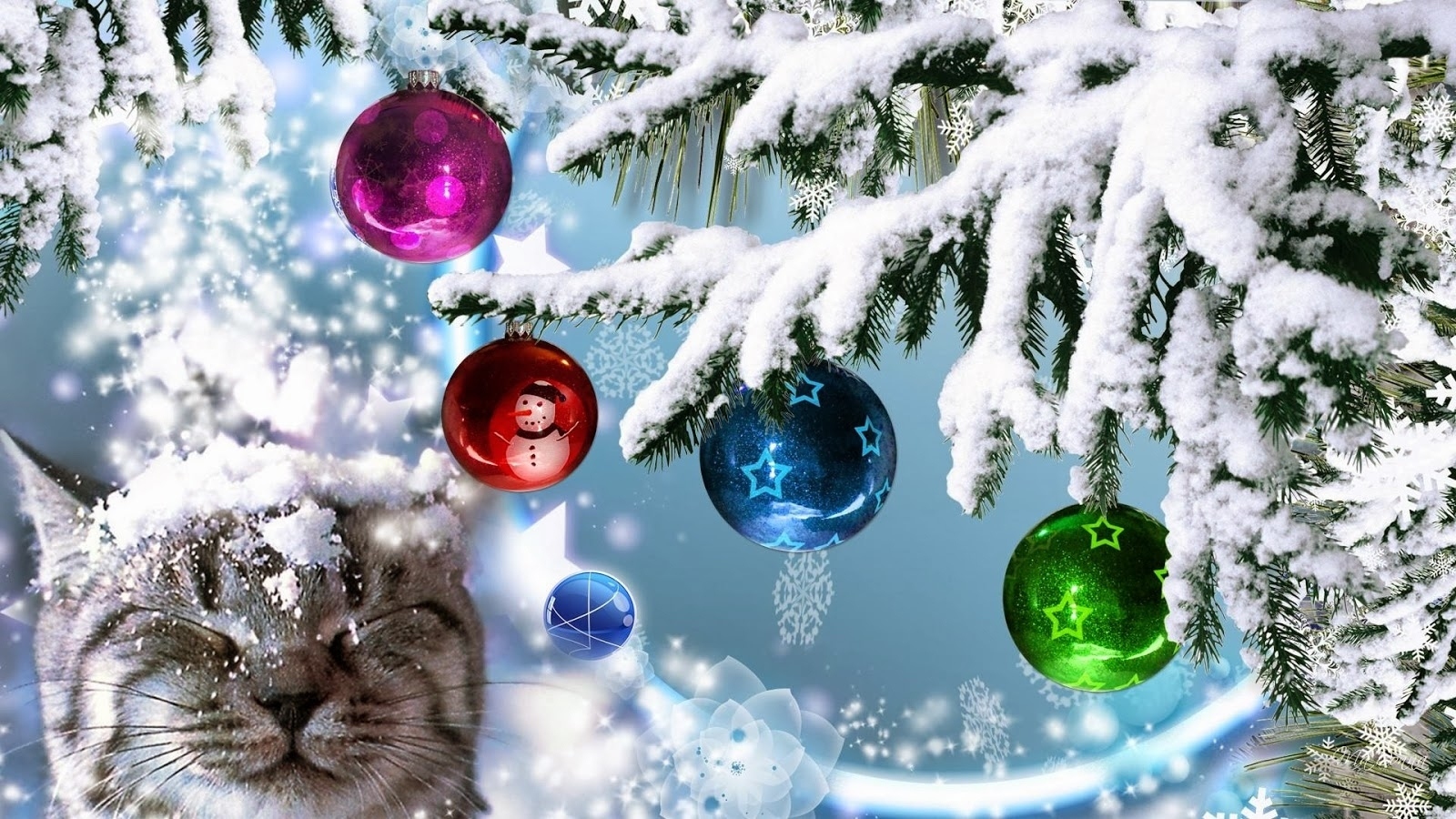 Laden Sie das Feiertage, Dekoration, Schnee, Weihnachten, Katze, Farben, Flitter-Bild kostenlos auf Ihren PC-Desktop herunter