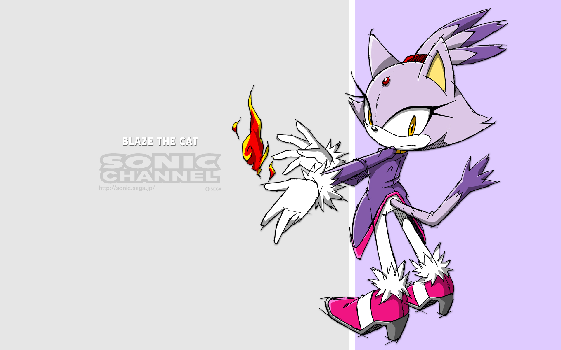 video game, sonic the hedgehog, blaze the cat, sonic channel, sonic