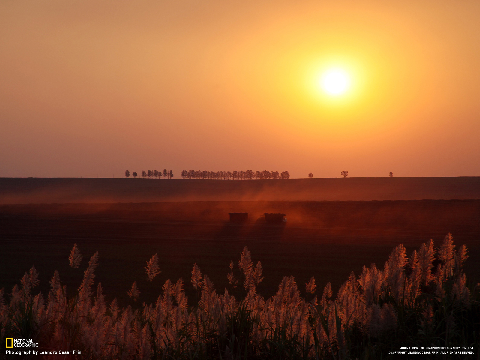 Laden Sie das Sonnenuntergang, Erde/natur-Bild kostenlos auf Ihren PC-Desktop herunter