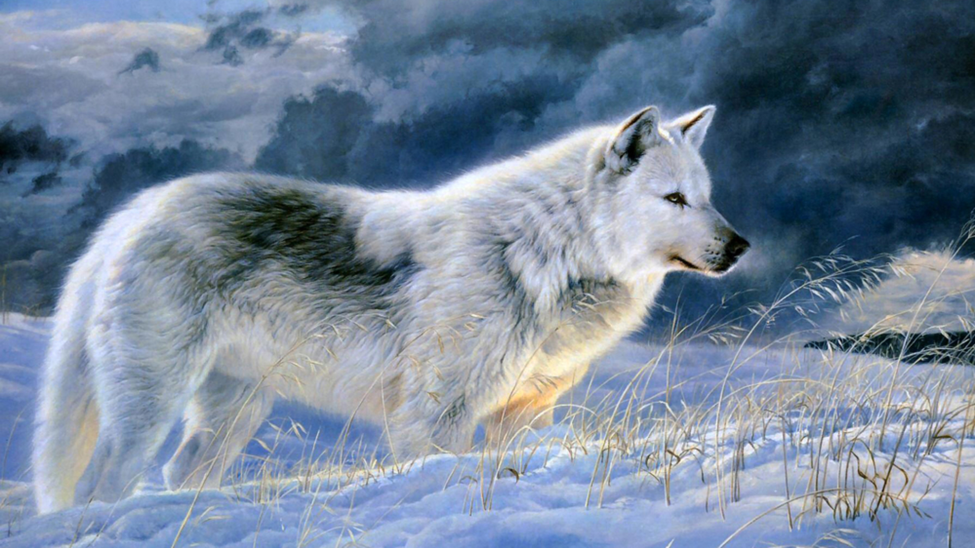 Handy-Wallpaper Tiere, Wolf, Malerei, Wolves kostenlos herunterladen.
