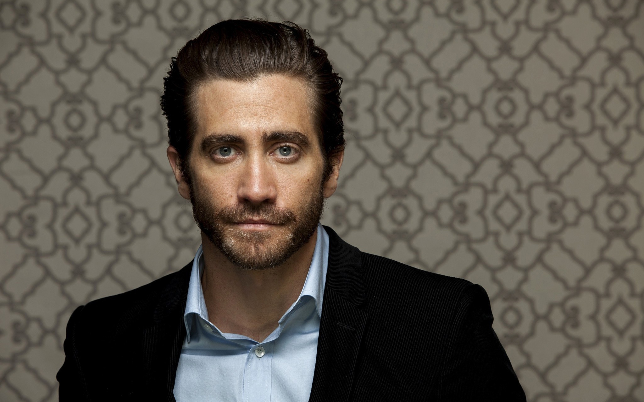 Download mobile wallpaper Jake Gyllenhaal, Blue Eyes, American, Celebrity, Actor for free.