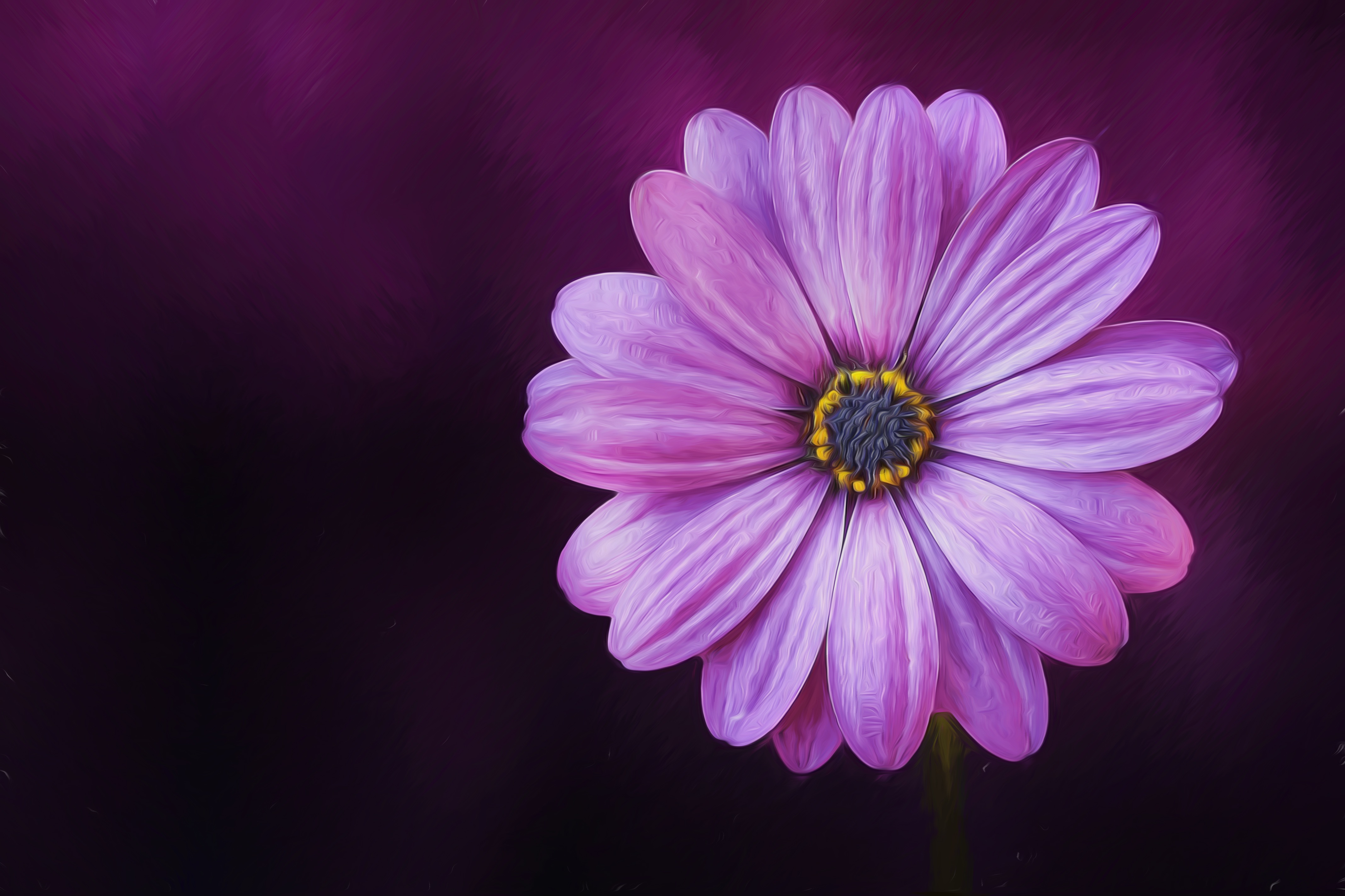 806545 скачать картинку фиолетовый цветок, африканская ромашка, природа, земля/природа, ромашка, цветок, масляные краски, картина - обои и заставки бесплатно