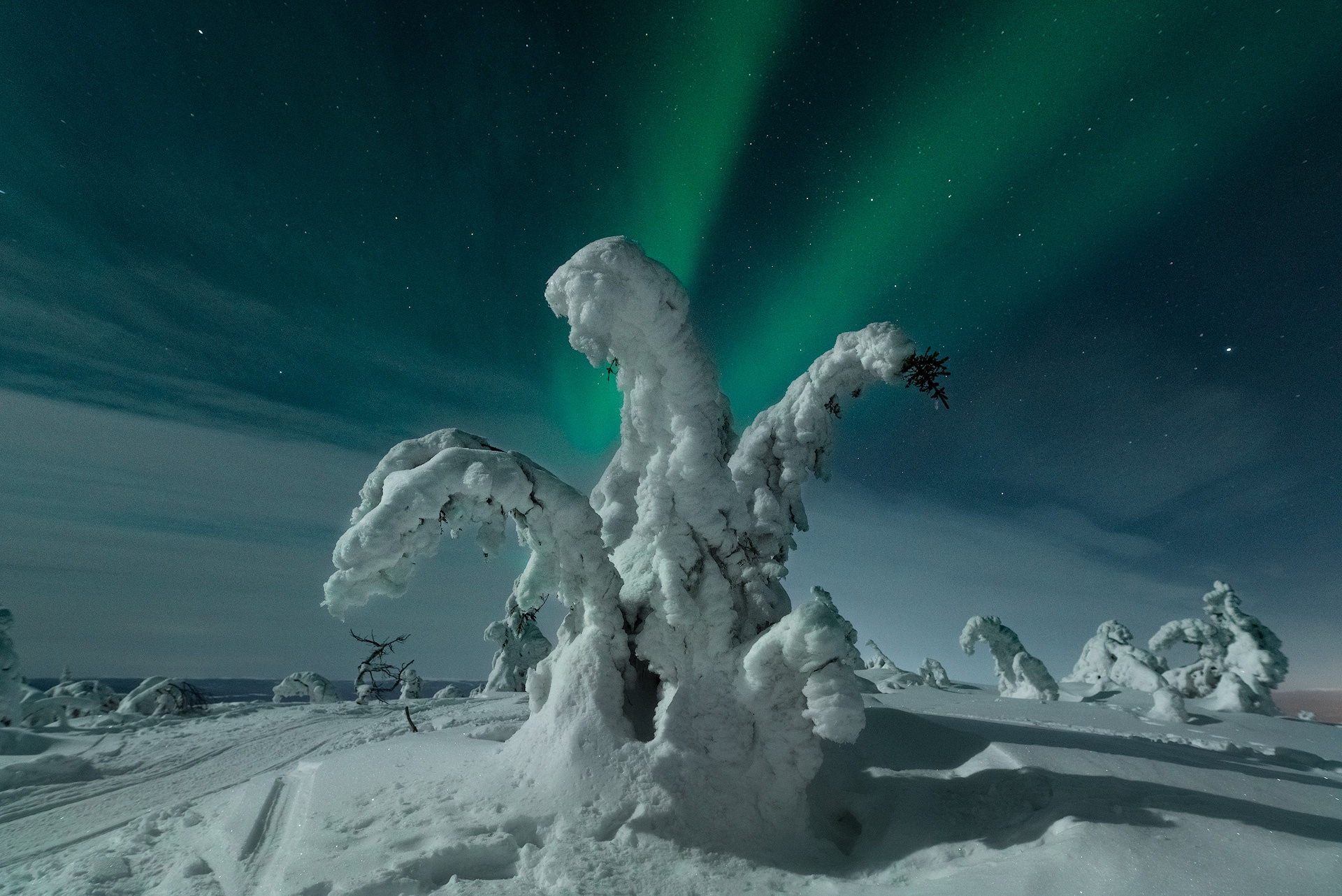 Скачать обои бесплатно Зима, Природа, Ночь, Снег, Северное Сияние, Земля/природа картинка на рабочий стол ПК