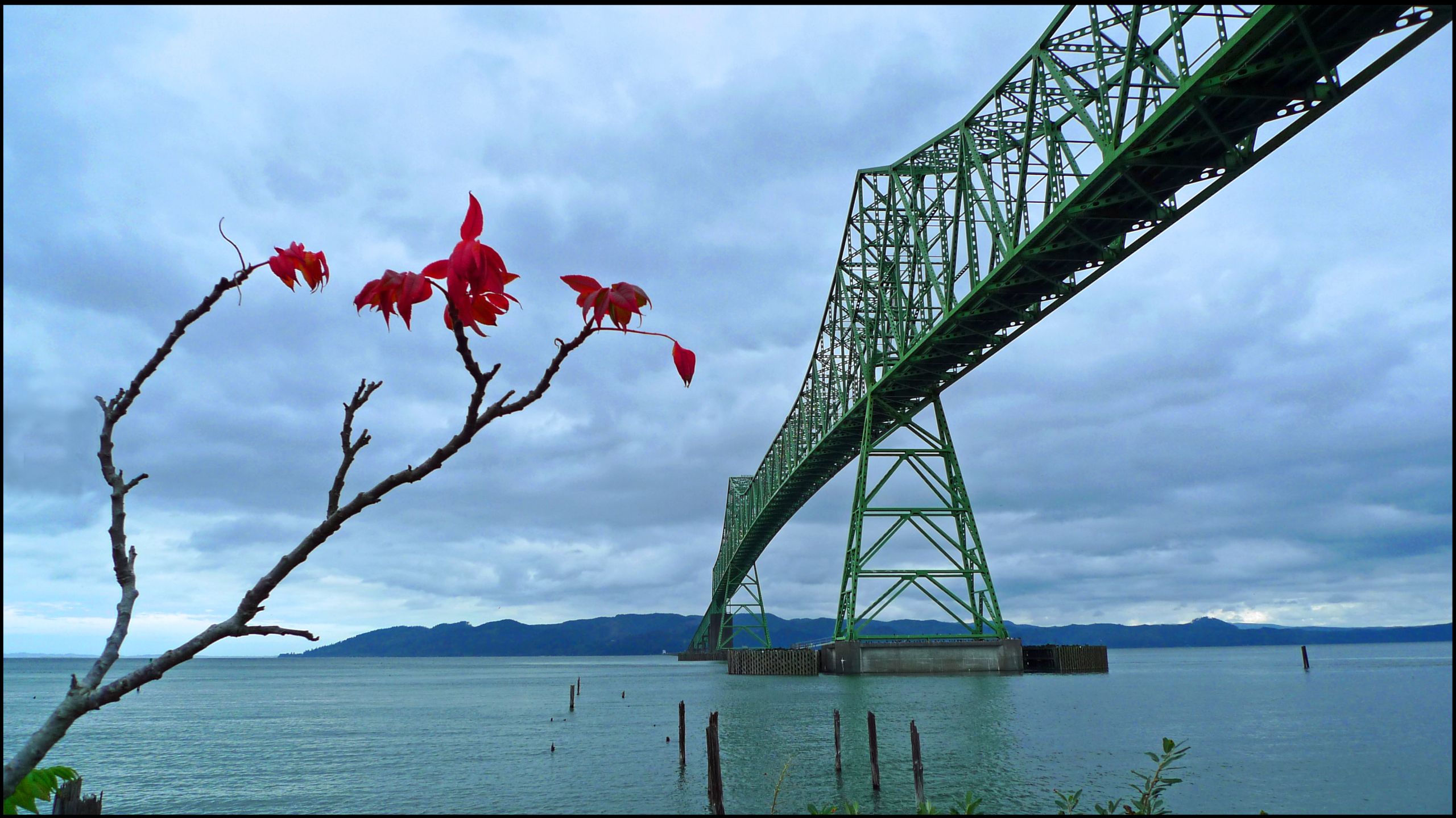 Laden Sie das Brücken, Menschengemacht, Astoria Bridge-Bild kostenlos auf Ihren PC-Desktop herunter