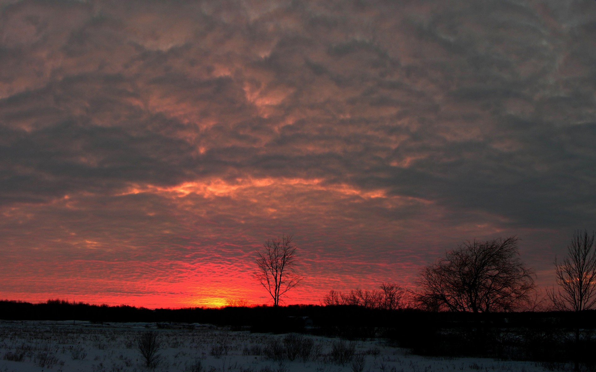 Descarga gratis la imagen Atardecer, Tierra/naturaleza en el escritorio de tu PC