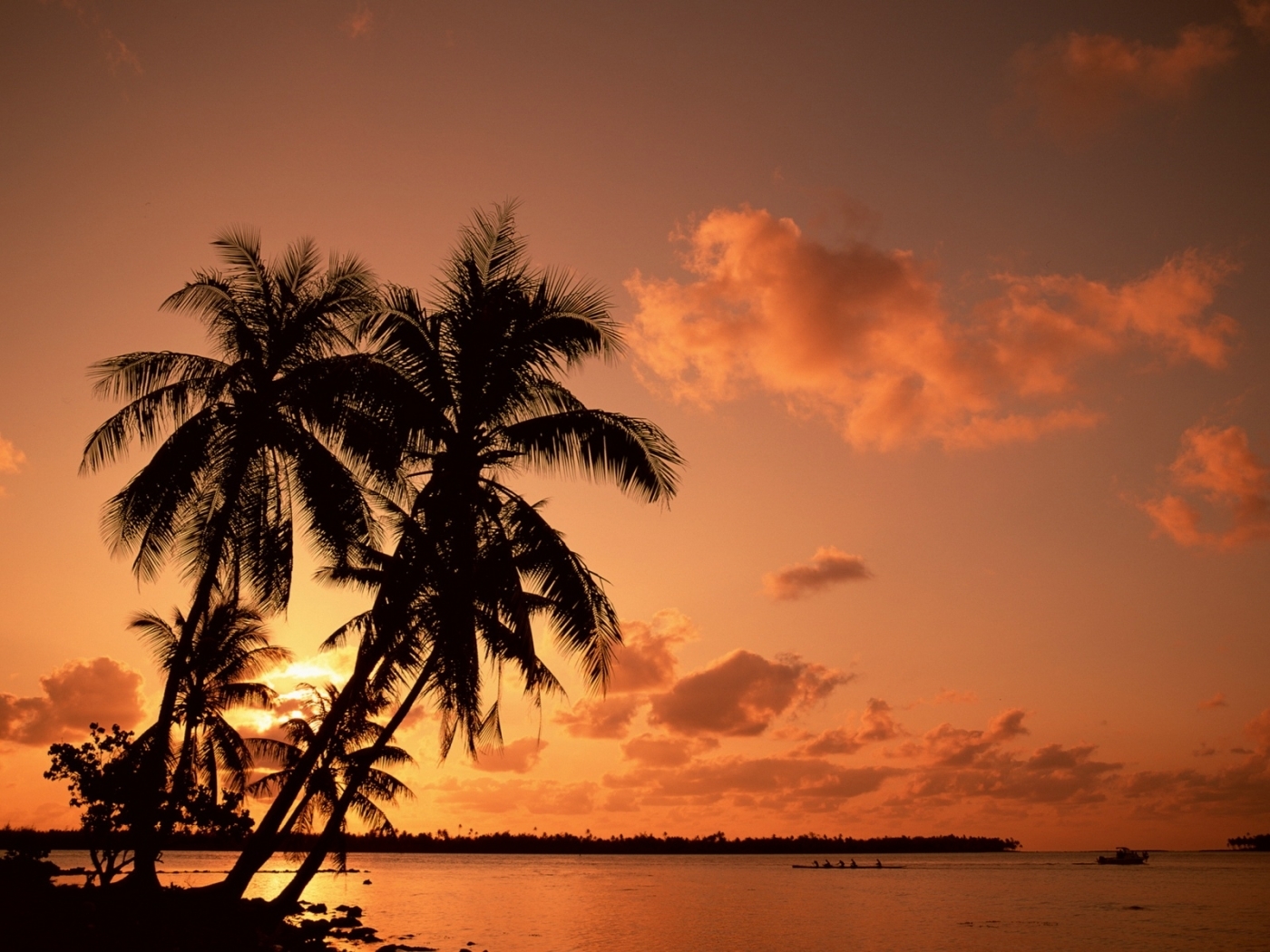 PCデスクトップに風景, 日没, オレンジ, パームス画像を無料でダウンロード