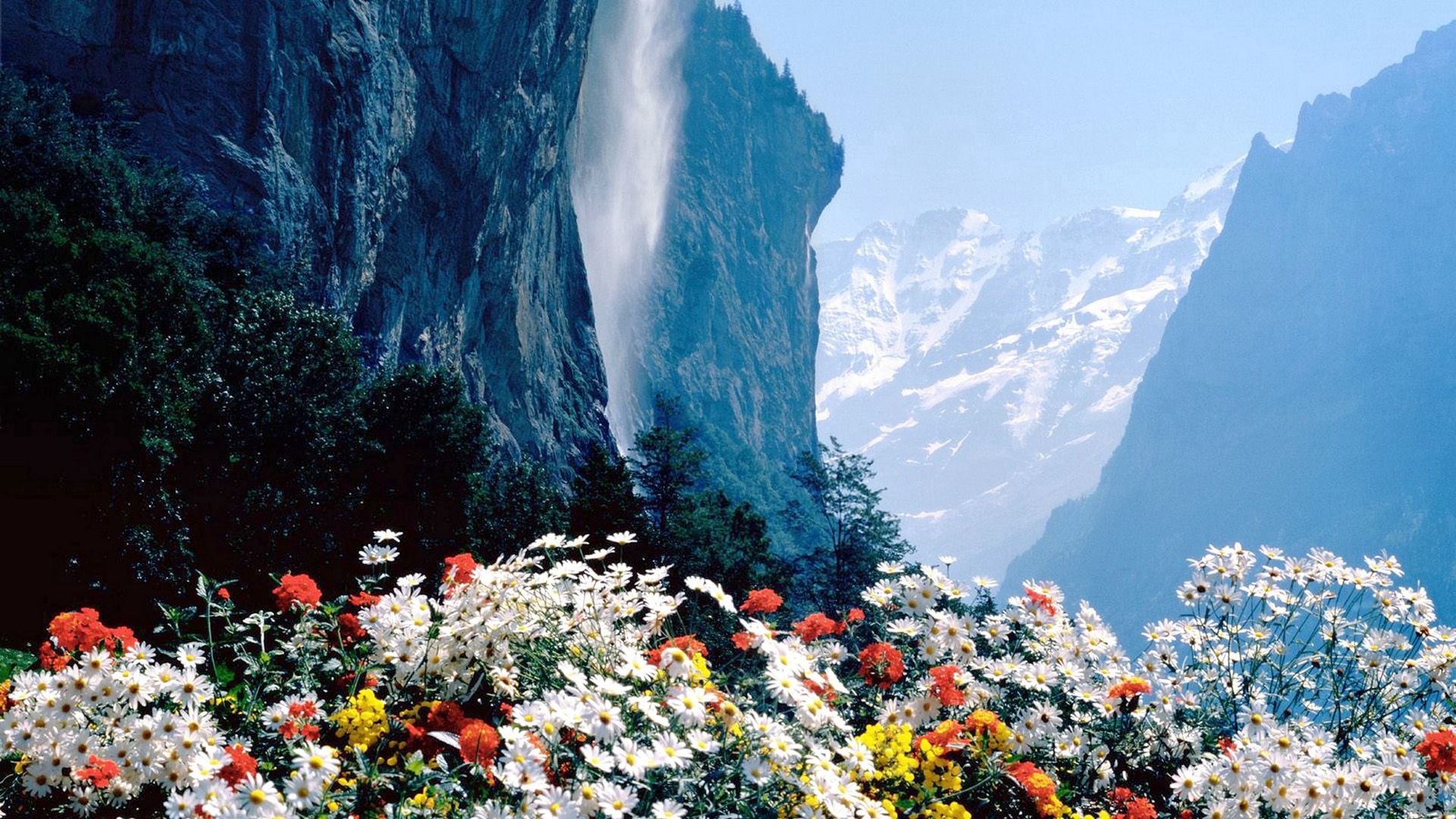 Download mobile wallpaper Break, Precipice, Nature, Mountains, Flowers for free.