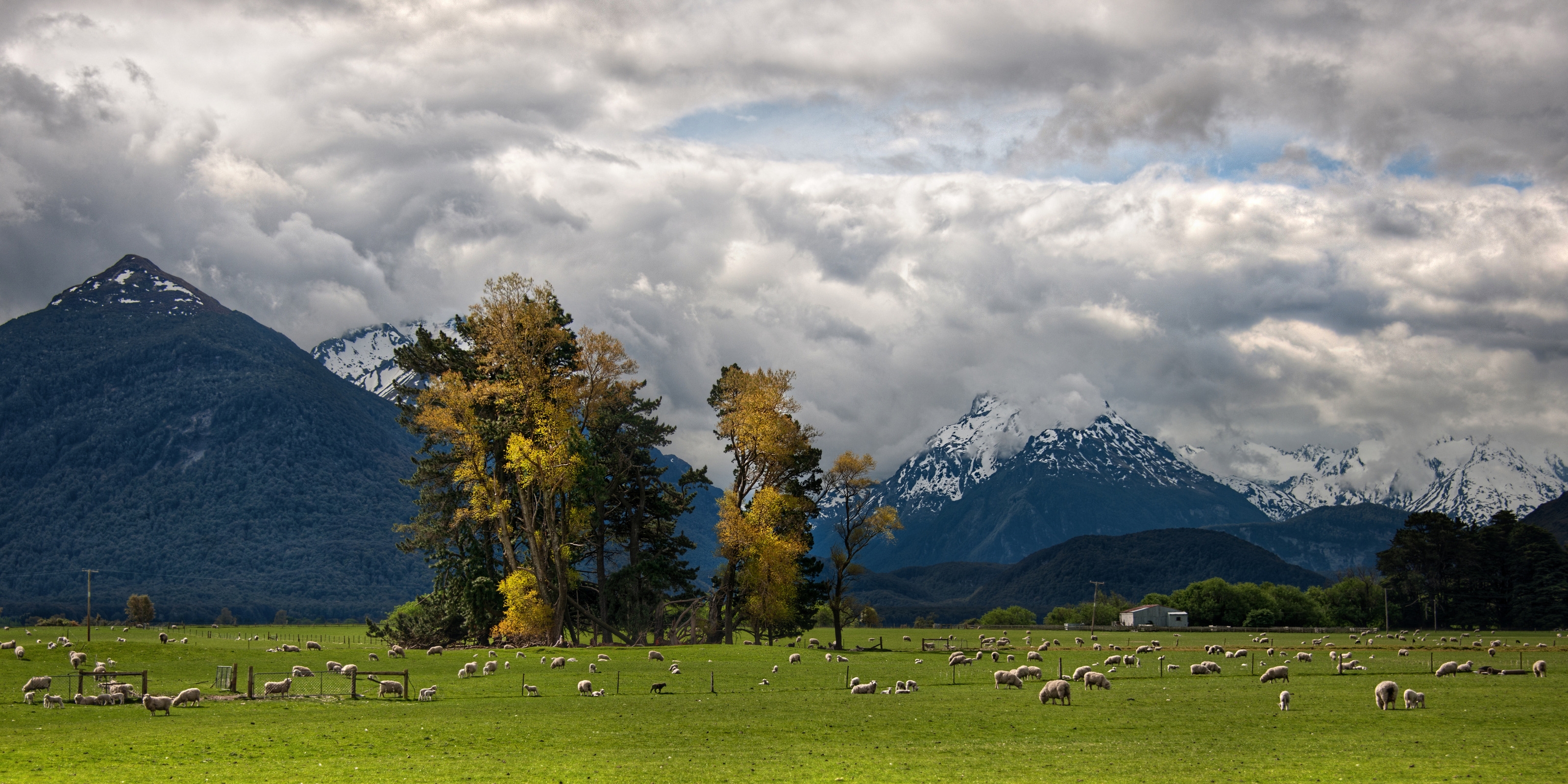 valley, sheep, sky, alps, nature, mountains, clouds, pasture, sheeps, foot