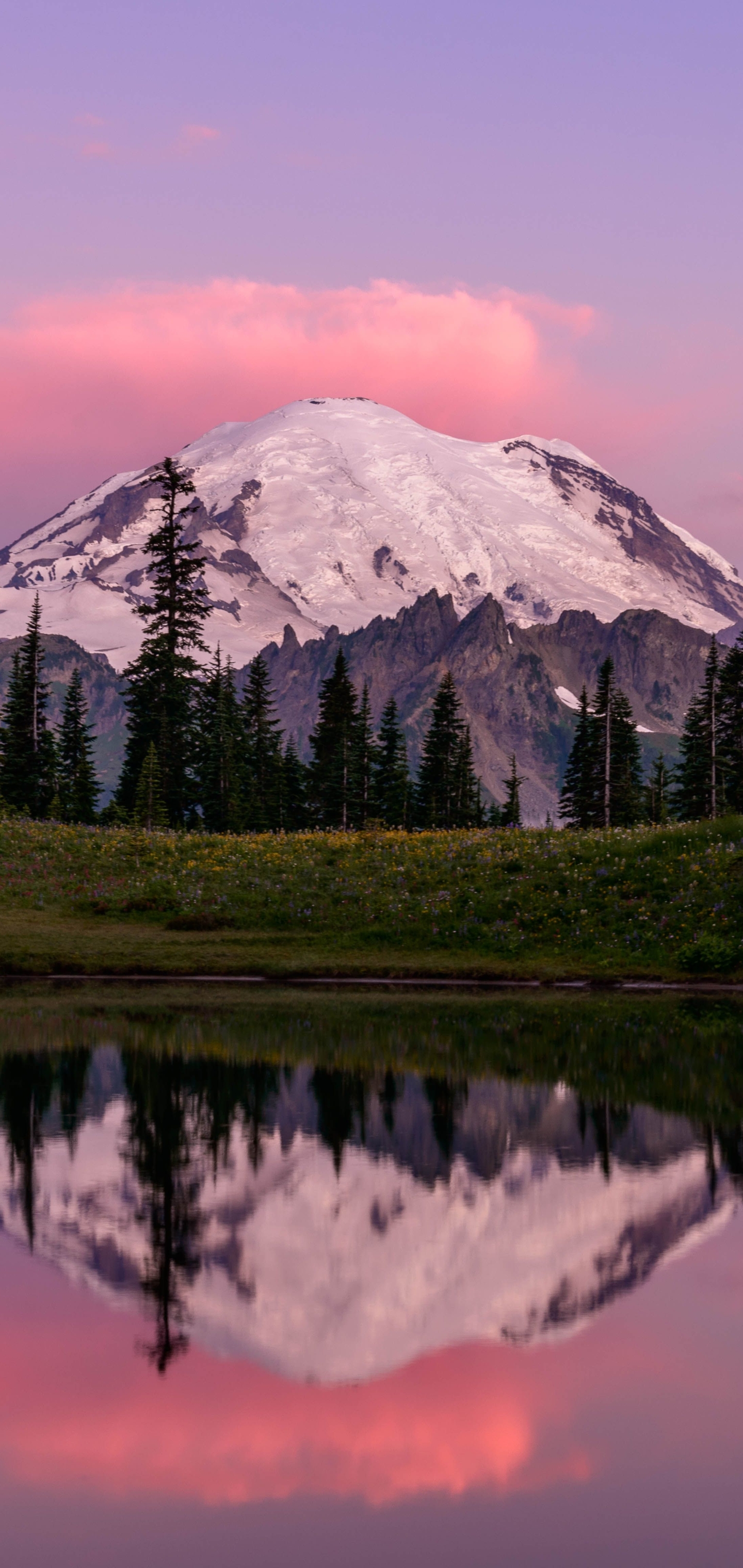 Download mobile wallpaper Mountains, Earth, Mount Rainier for free.
