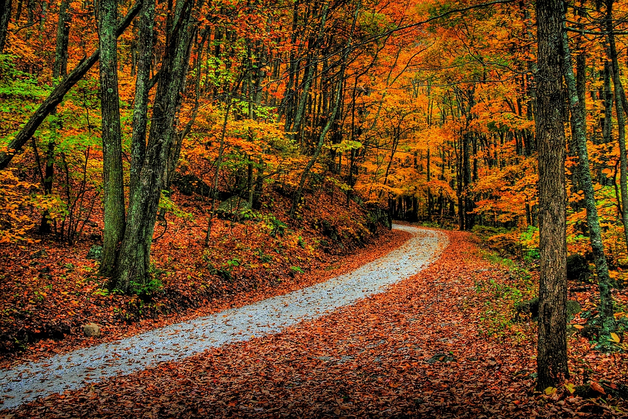 Descarga gratuita de fondo de pantalla para móvil de Carretera, Hecho Por El Hombre.