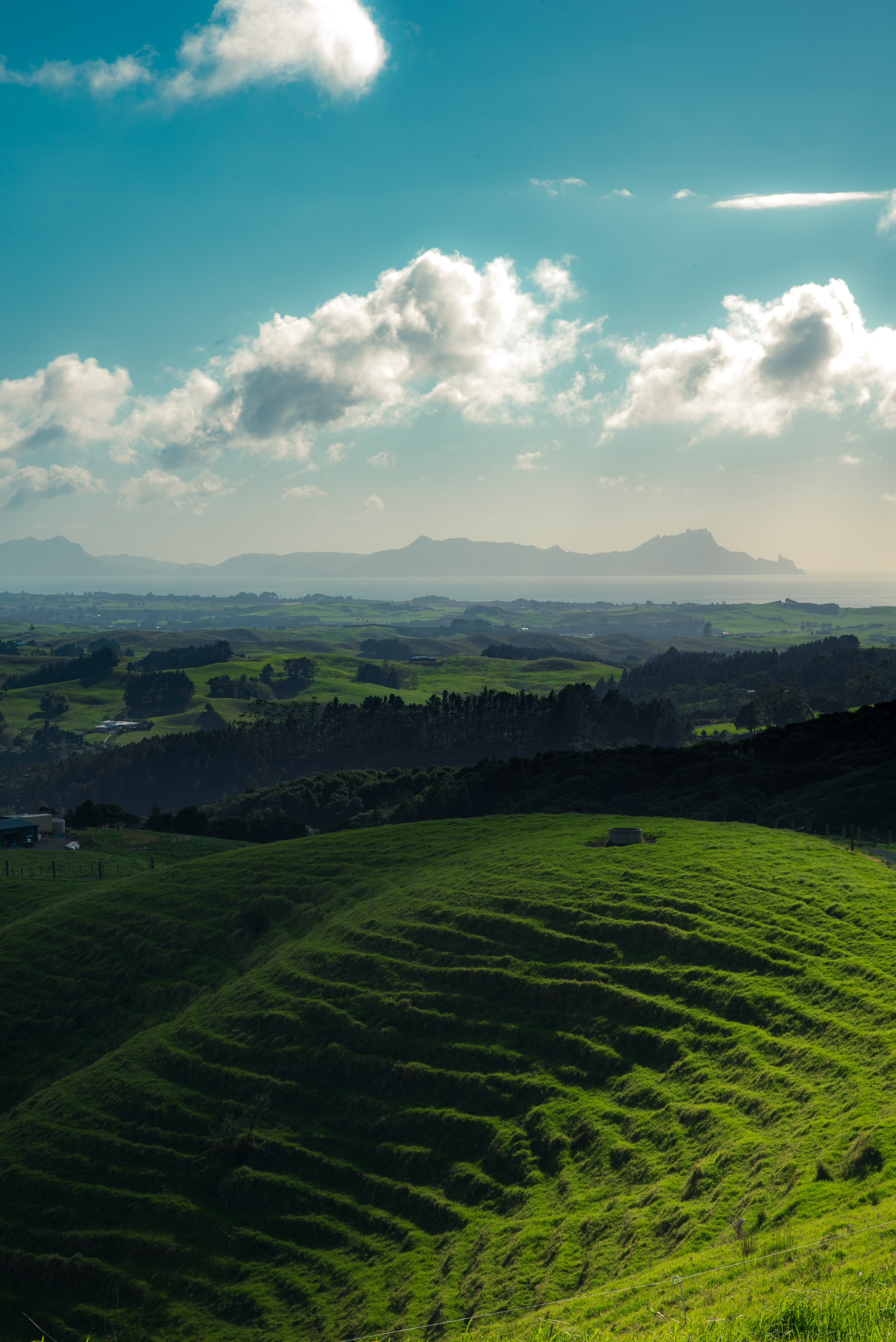 Handy-Wallpaper Horizont, Die Hügel, Hügel, Whangarei, Natur, Mountains, Grass, Neuseeland kostenlos herunterladen.