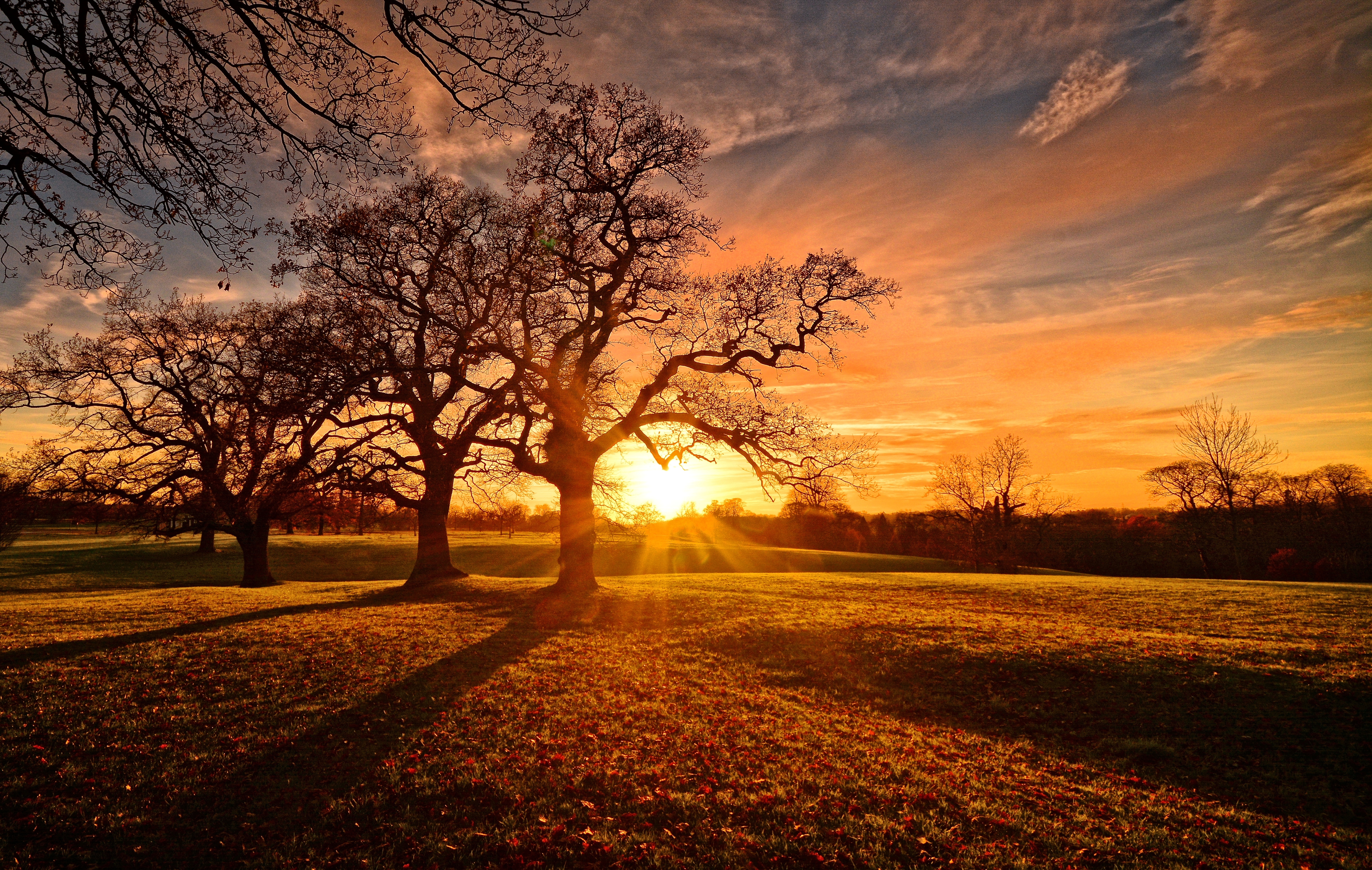 Free download wallpaper Landscape, Sunset, Tree, Fall, Evening, Photography on your PC desktop