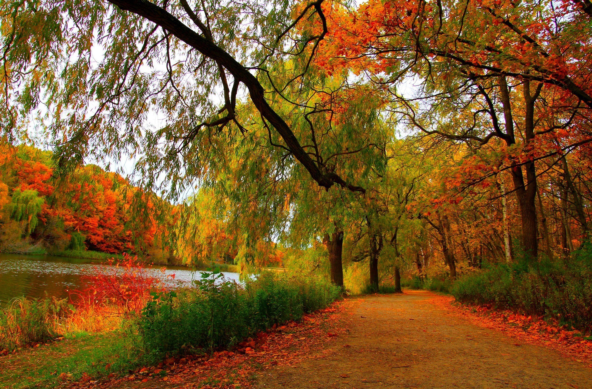 Free download wallpaper Fall, Path, River, Man Made on your PC desktop