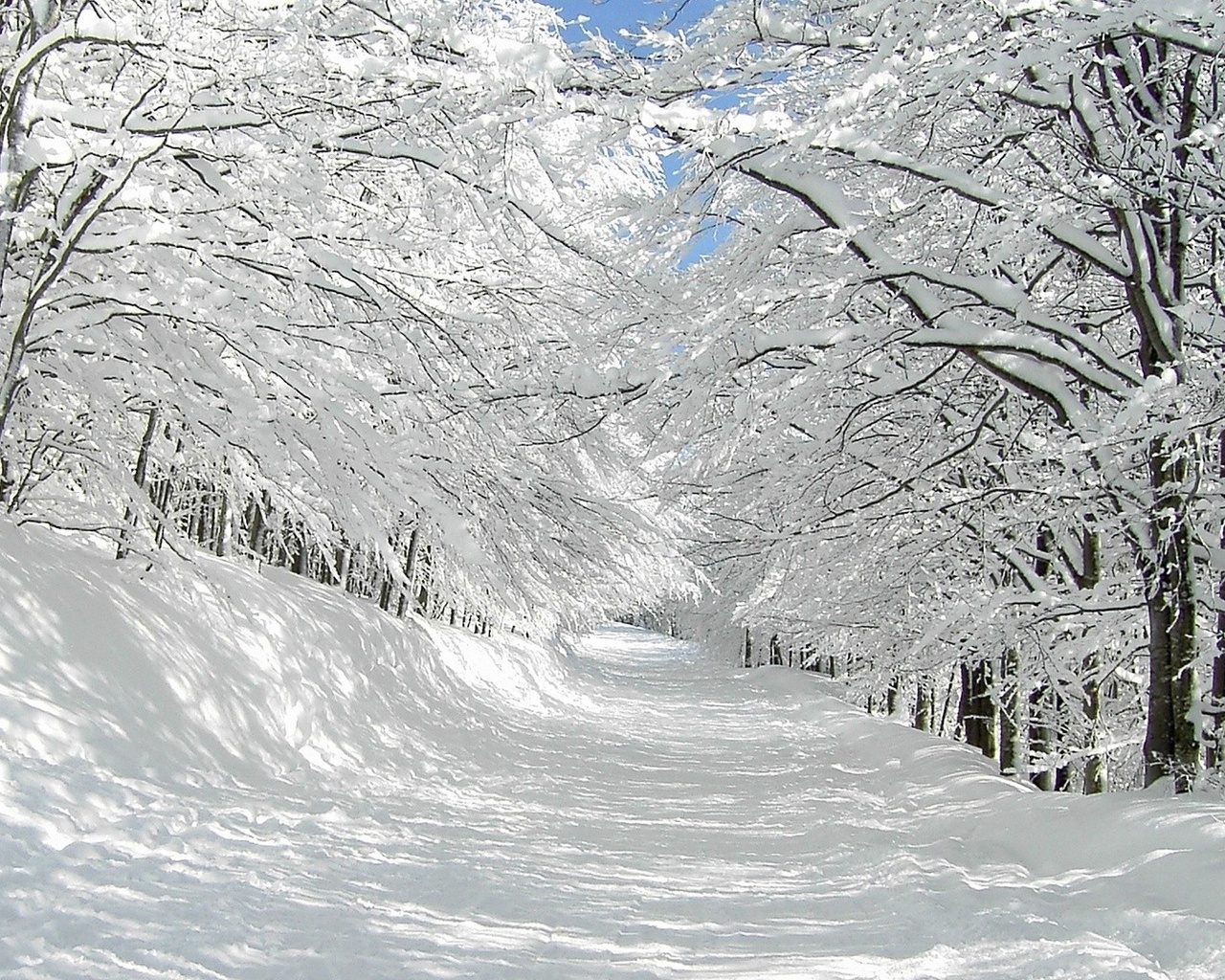 Handy-Wallpaper Landschaft, Bäume, Roads, Schnee kostenlos herunterladen.