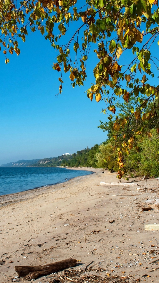 Descarga gratuita de fondo de pantalla para móvil de Naturaleza, Playa, Costa, Línea Costera, Tierra/naturaleza.