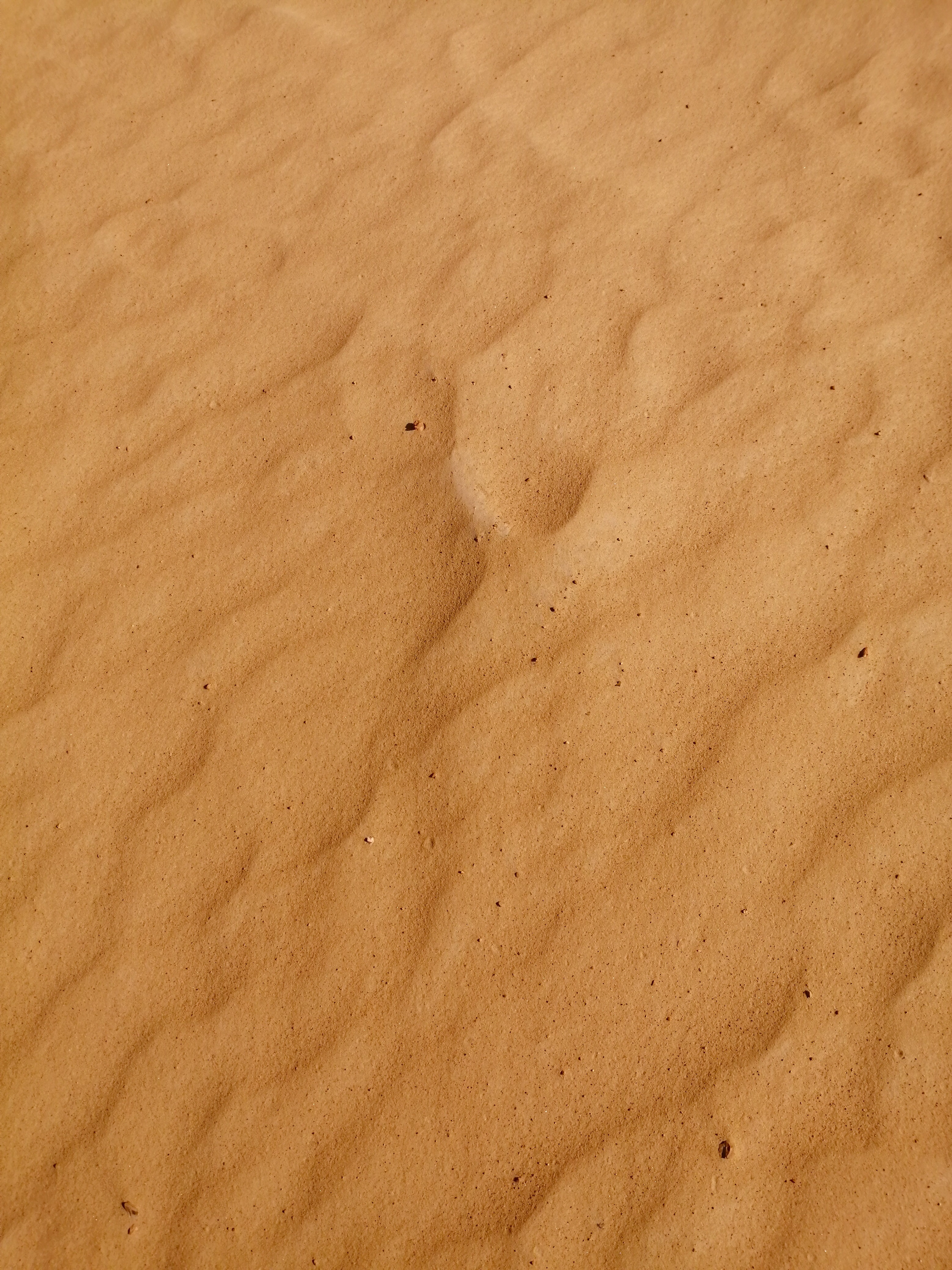 Download mobile wallpaper Relief, Sand, Texture, Surface, Brown, Textures for free.