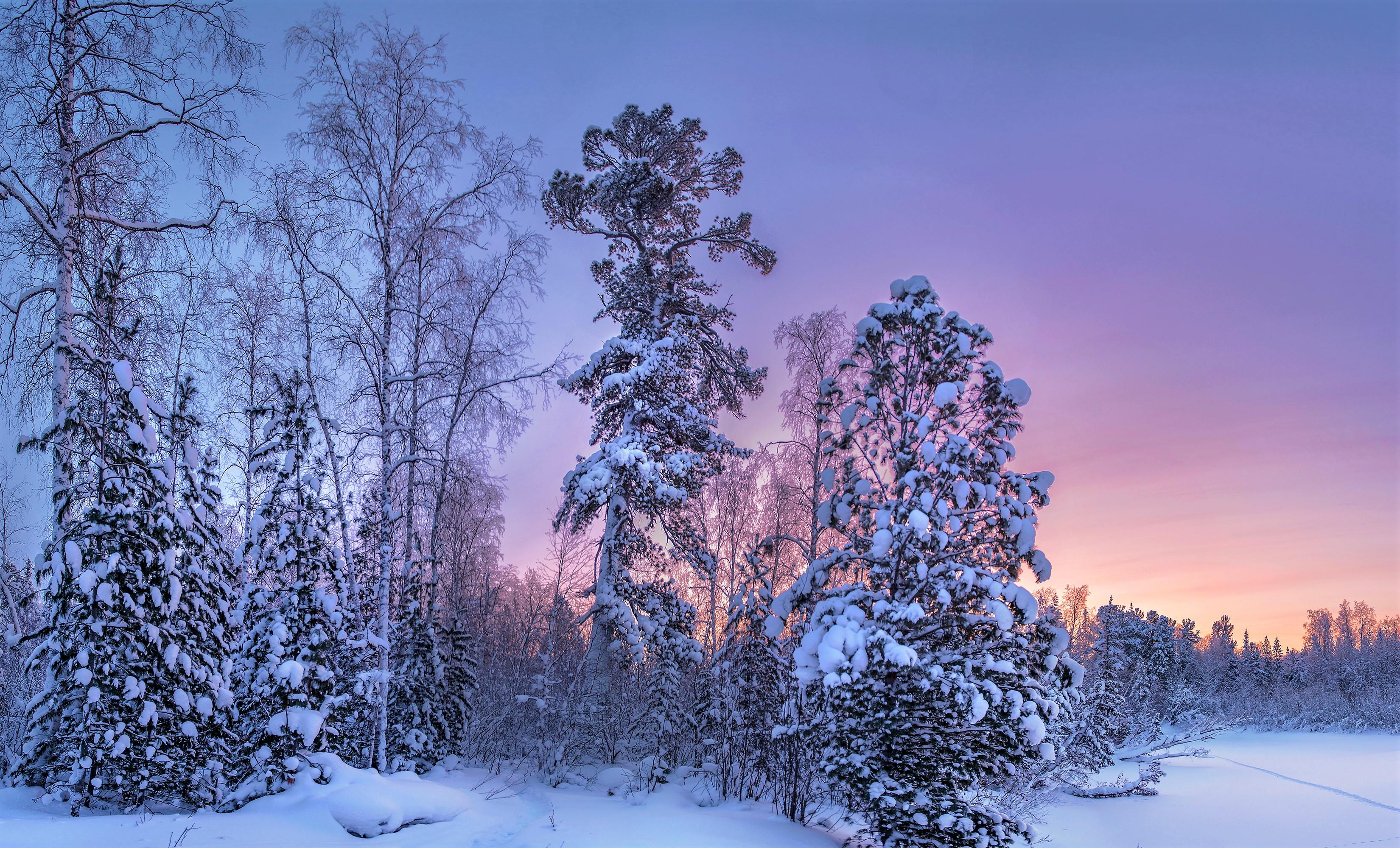 Download mobile wallpaper Winter, Sunset, Sky, Snow, Forest, Earth for free.