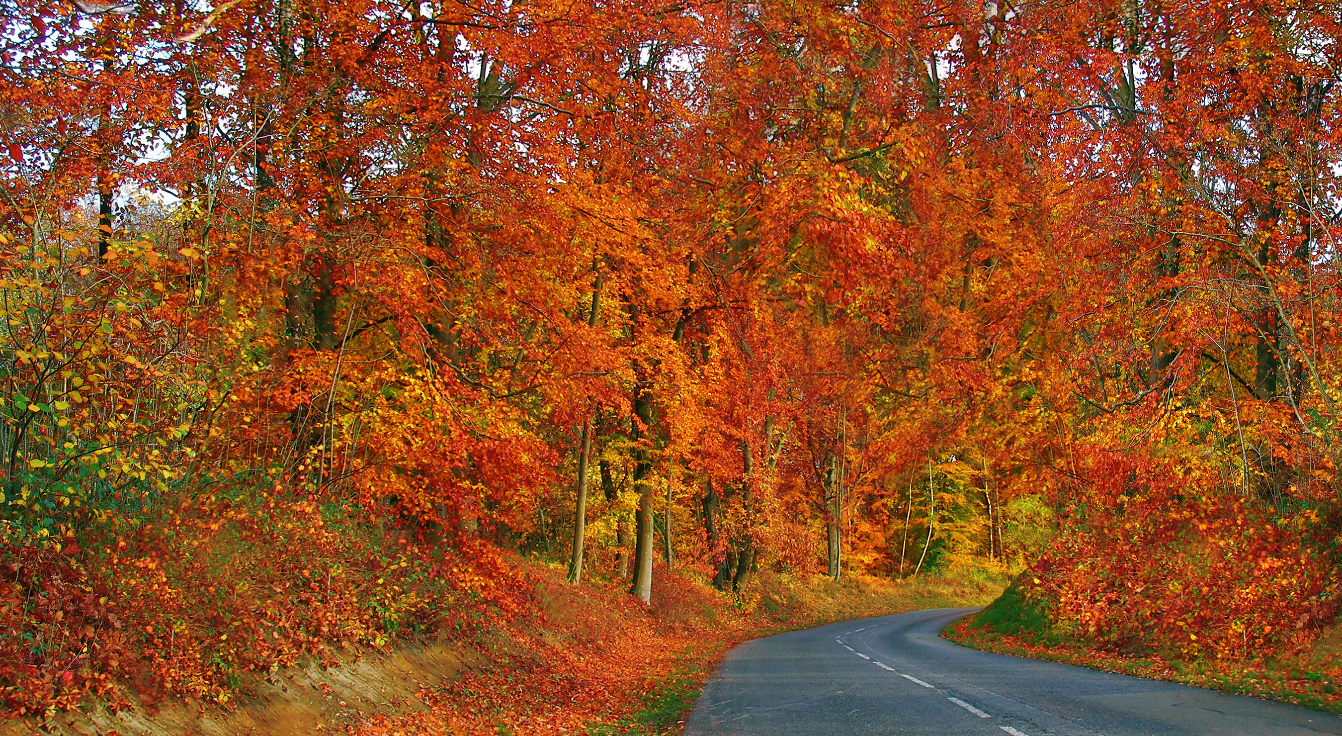 Free download wallpaper Road, Fall, Colorful, Man Made on your PC desktop