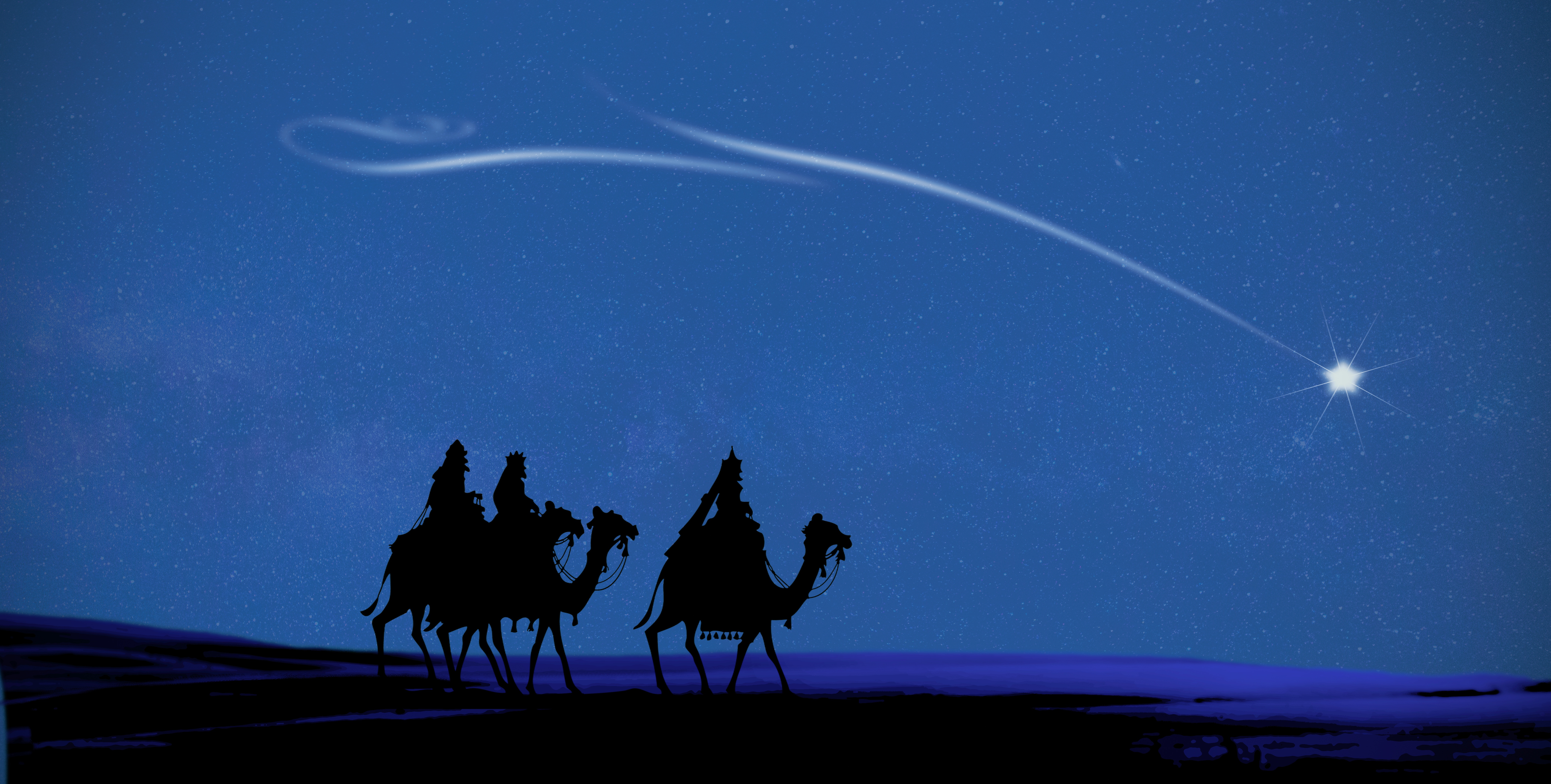 Free download wallpaper Night, Christmas, Holiday, Star, Camel on your PC desktop