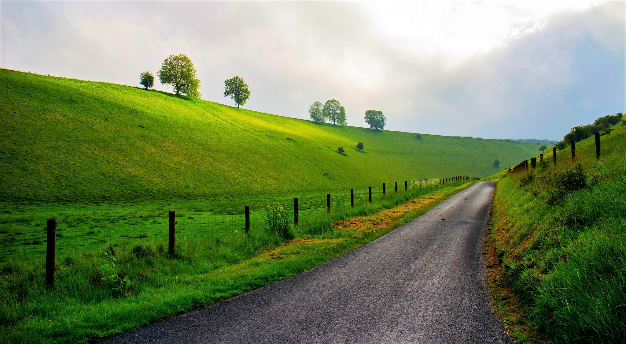 Free download wallpaper Grass, Road, Tree, Spring, Man Made on your PC desktop
