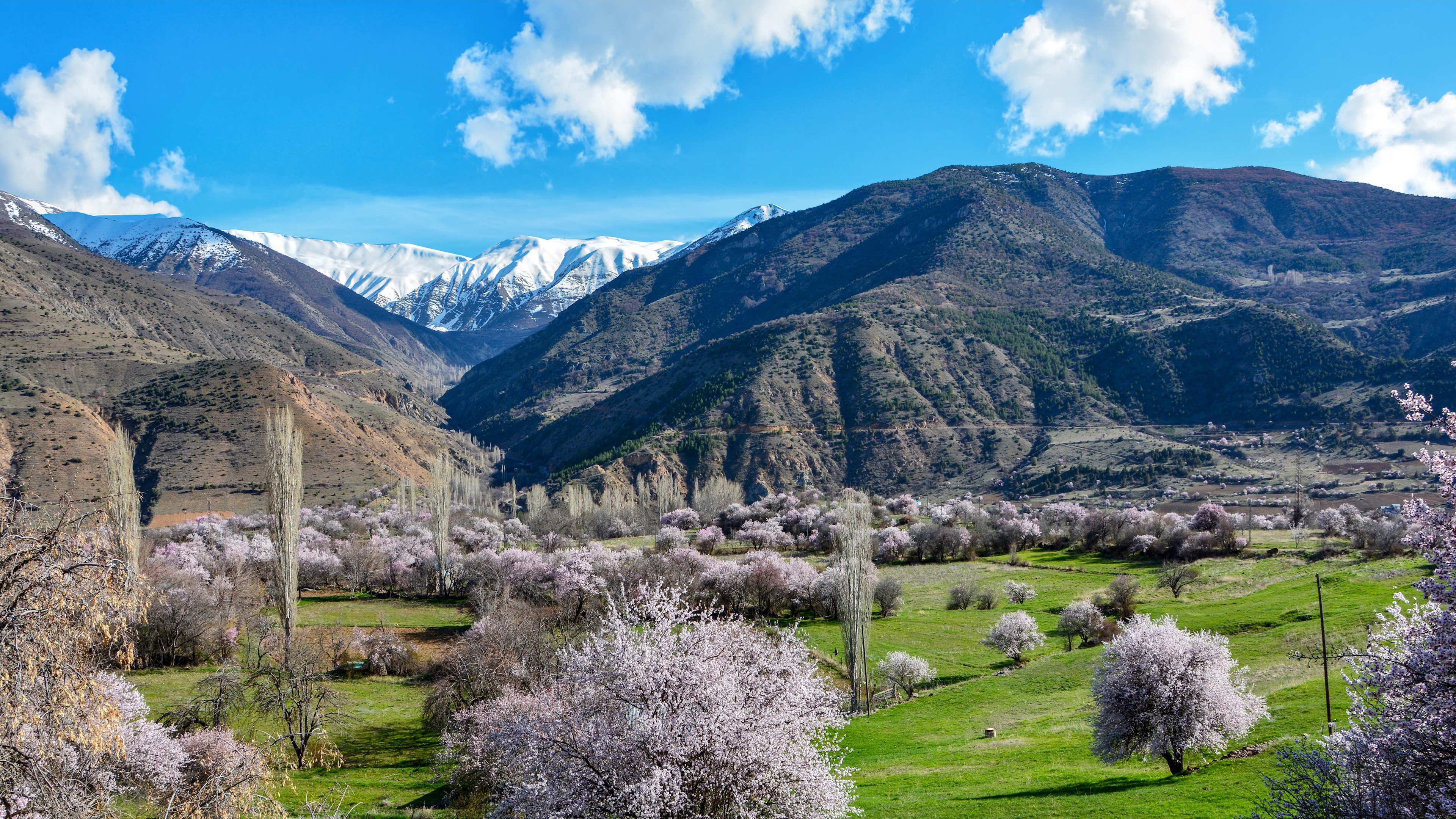 Descarga gratuita de fondo de pantalla para móvil de Paisaje, Montaña, Campo, Tierra/naturaleza.